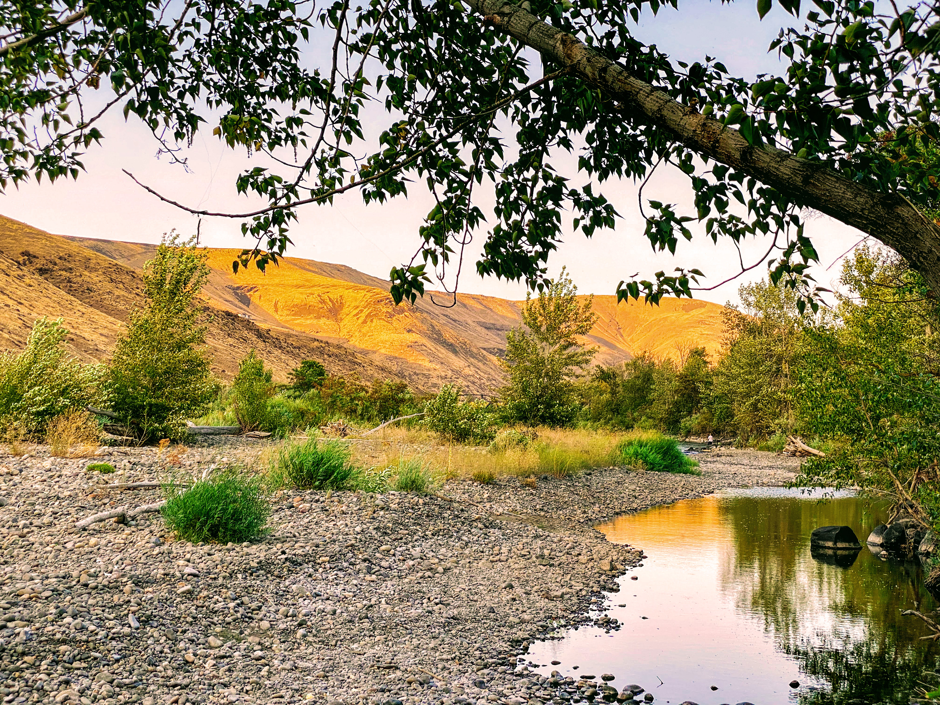 Yakima River, Yakima, WA