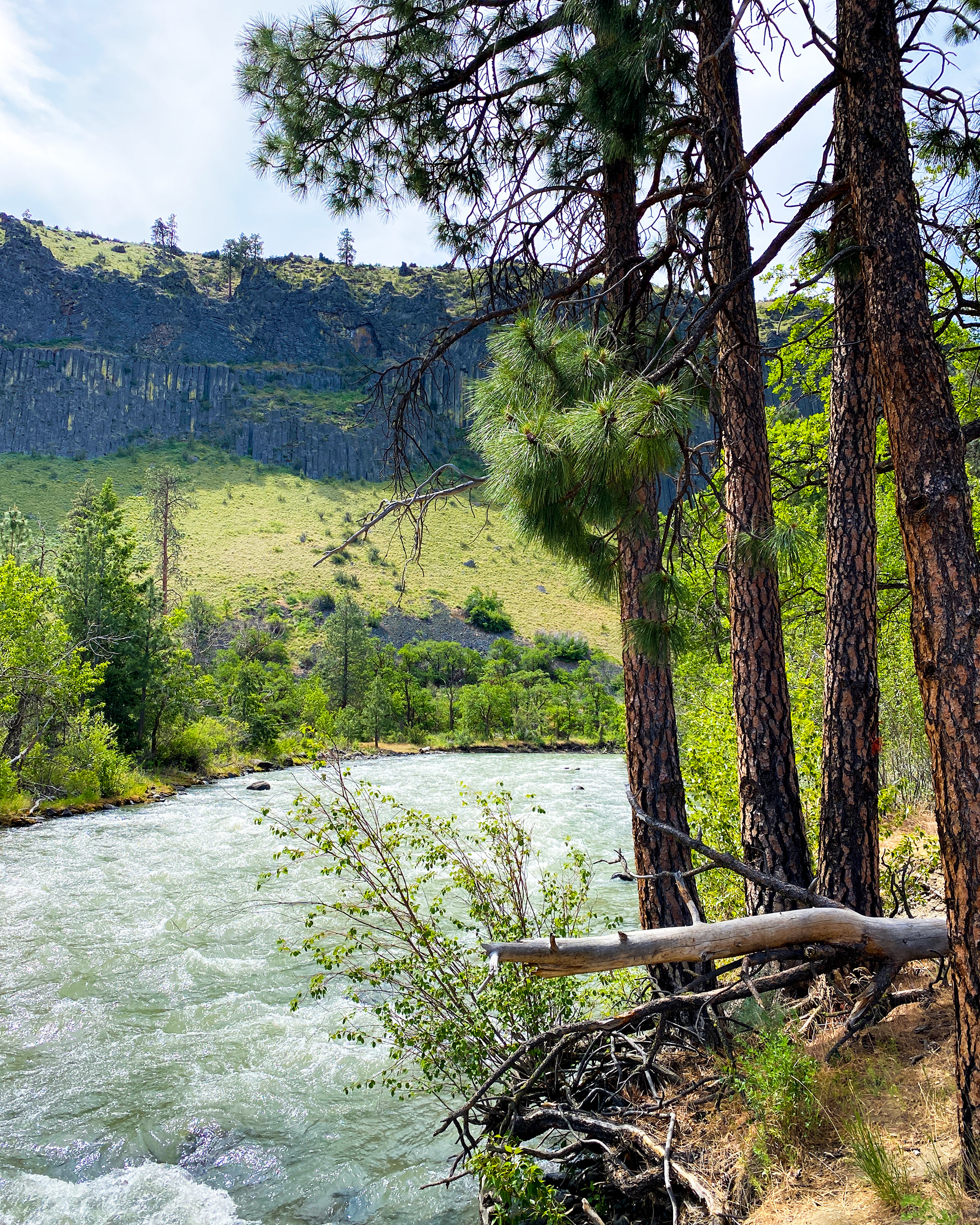 Yakima River, Naches, WA