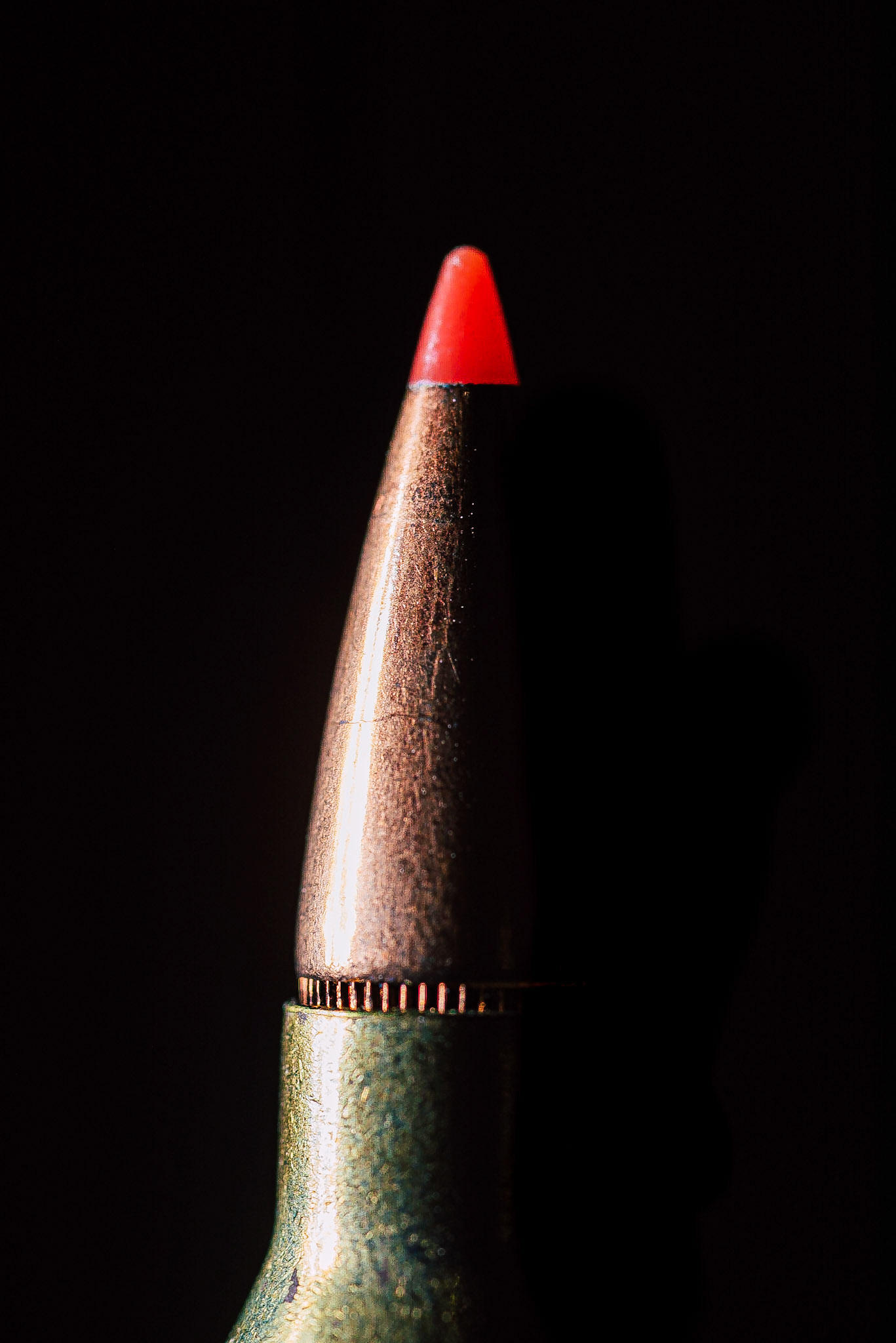 f/13 | 1/200 sec | iso 100 | 105mm