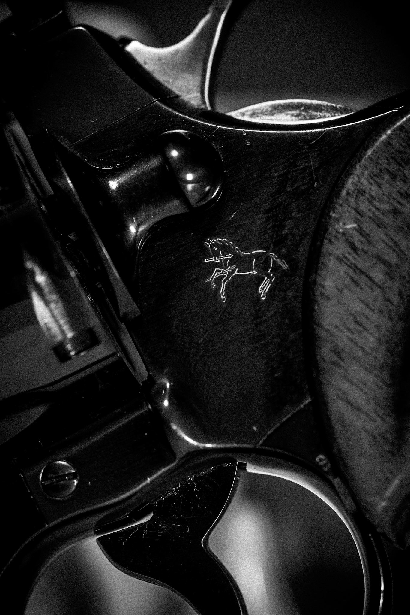 f/9 | 1/200 sec | iso 100 | 105mm