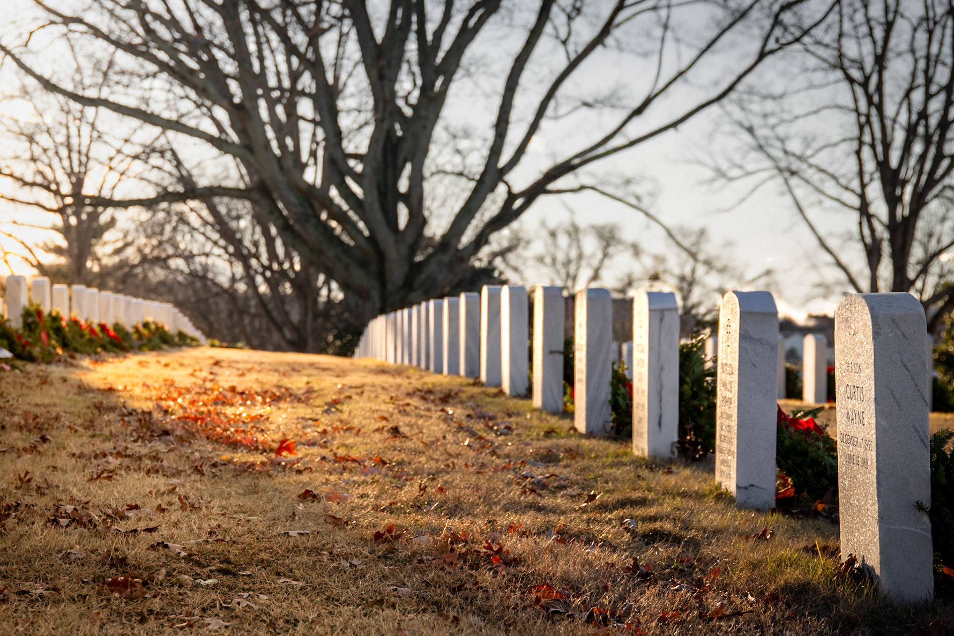 ©Weston McCain, All Rights Reserved