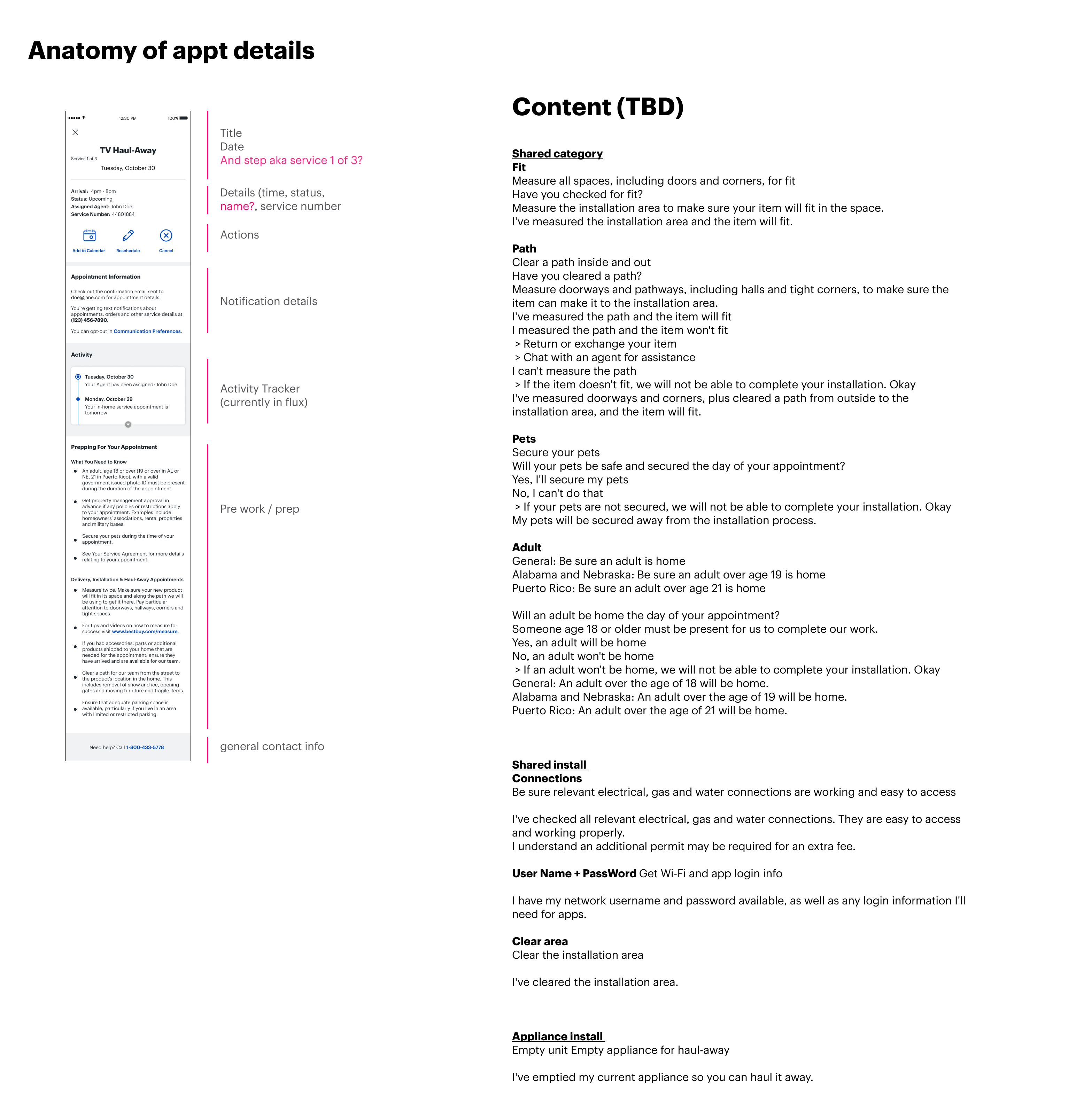 Anatomy