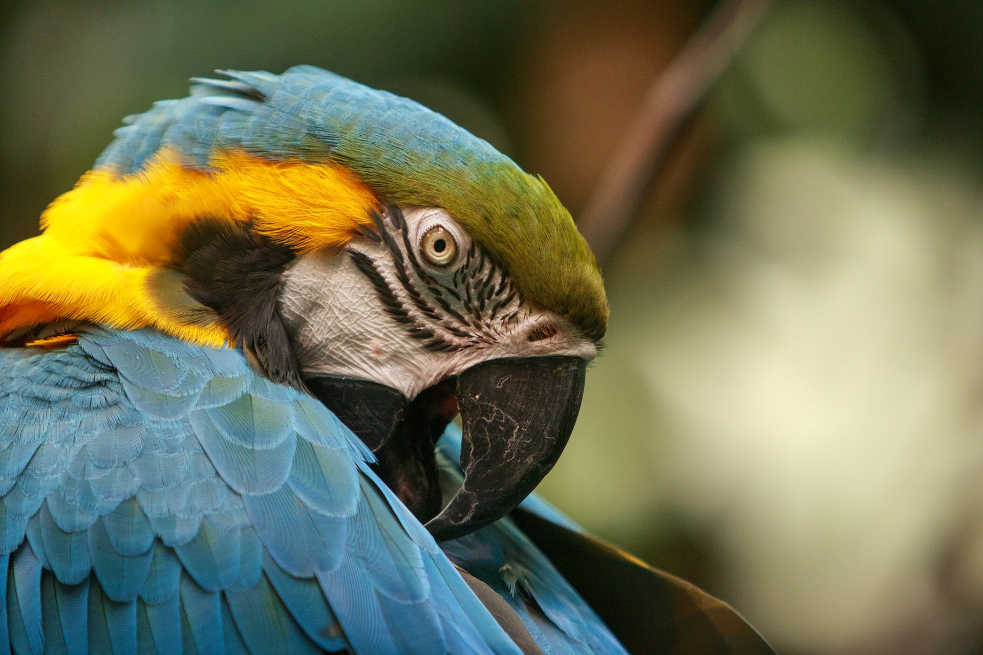 Montreal Biodome 2025