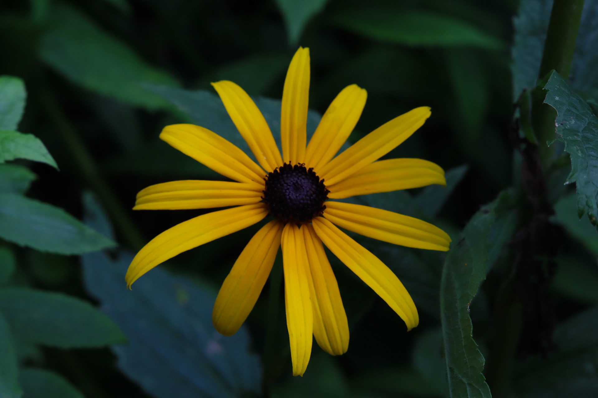 Martha's Vineyard 2024