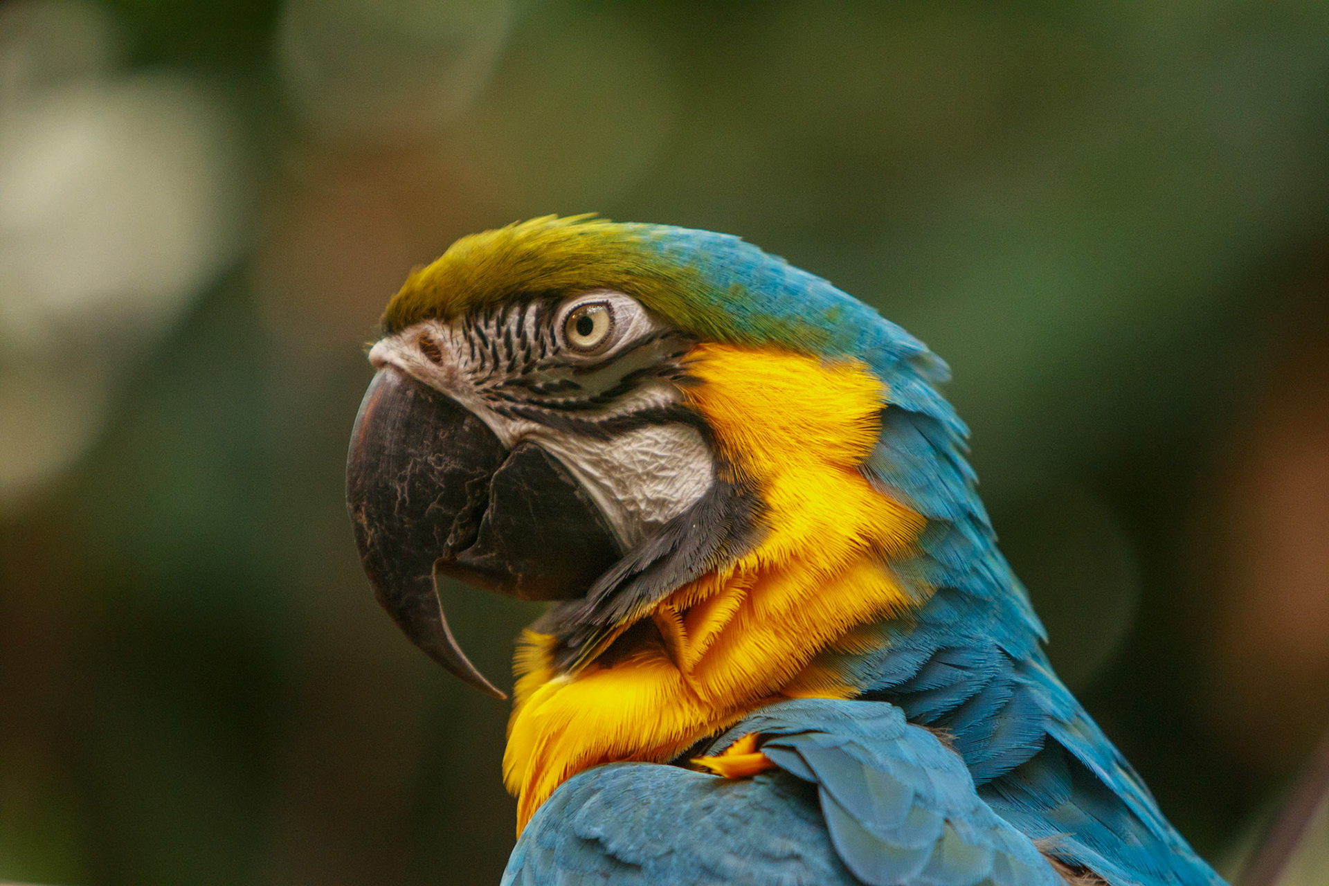 Montreal Biodome 2025