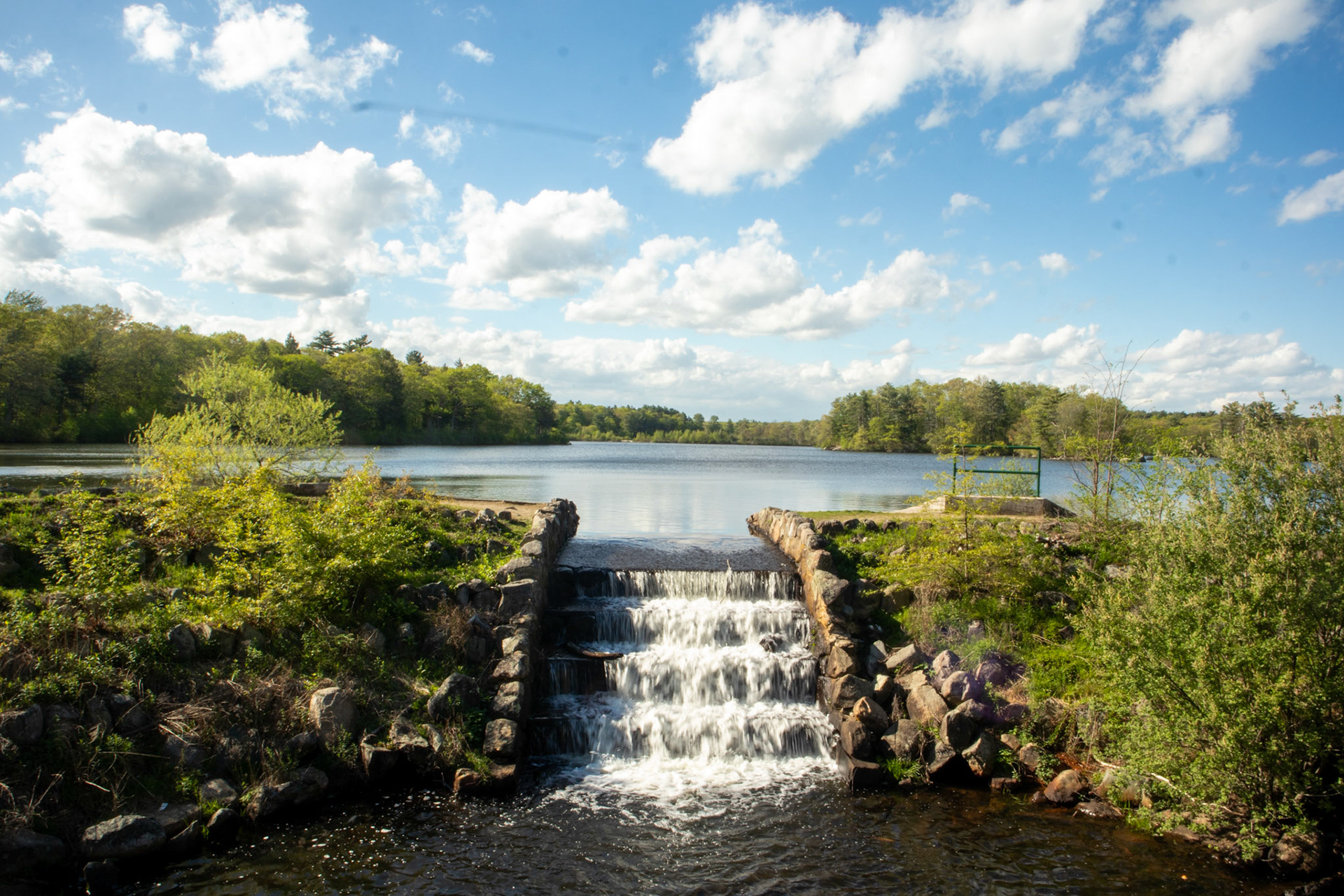 D.W. Fields Park 2025