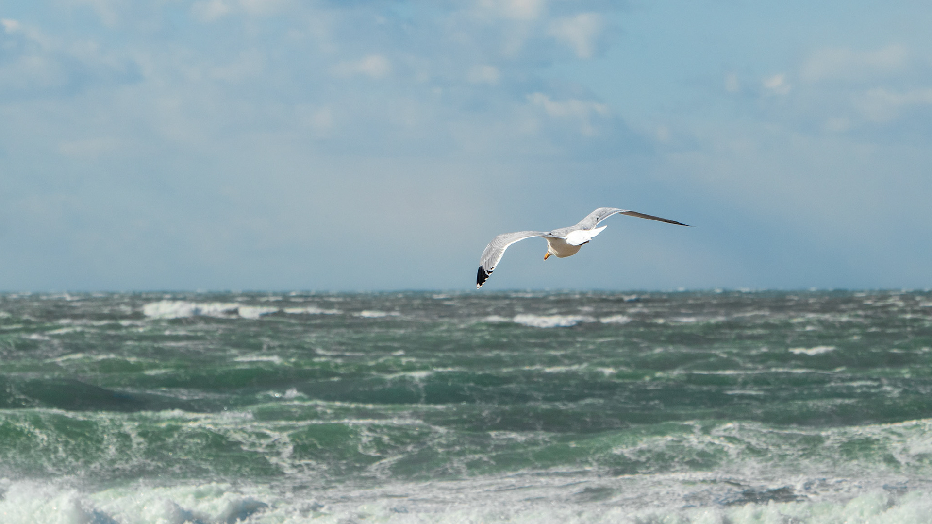 Martha's Vineyard 2025