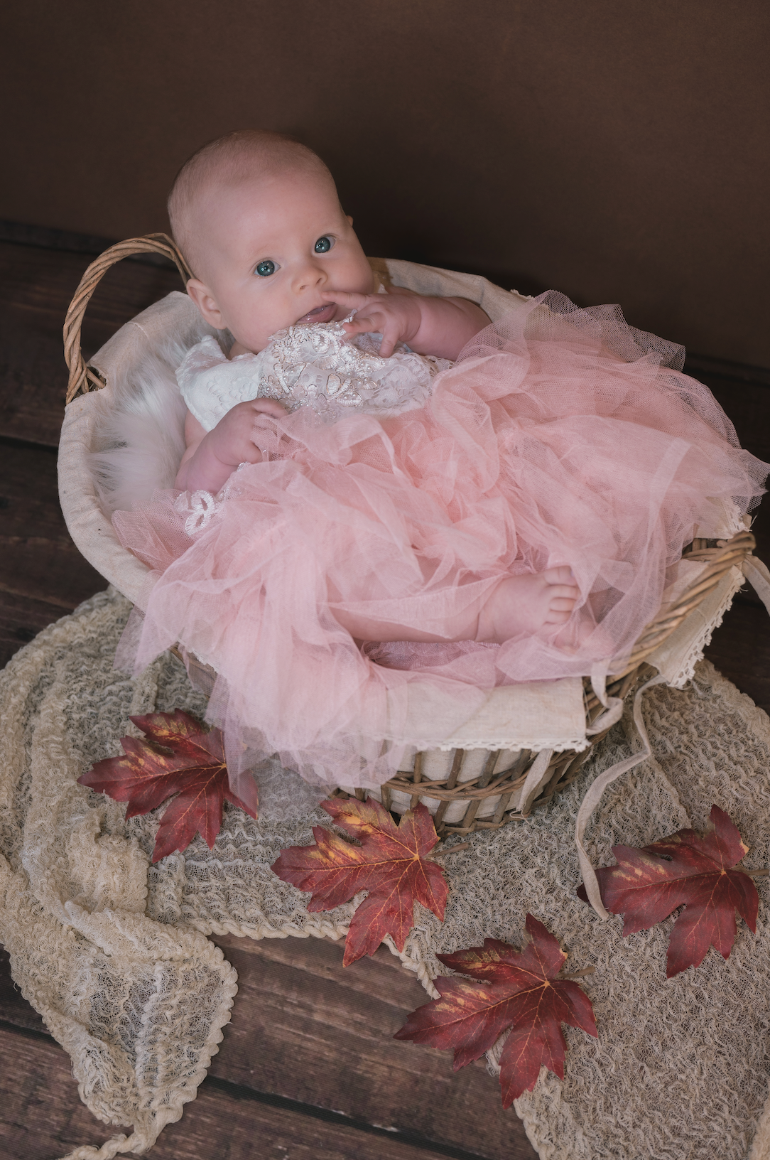 Lilly