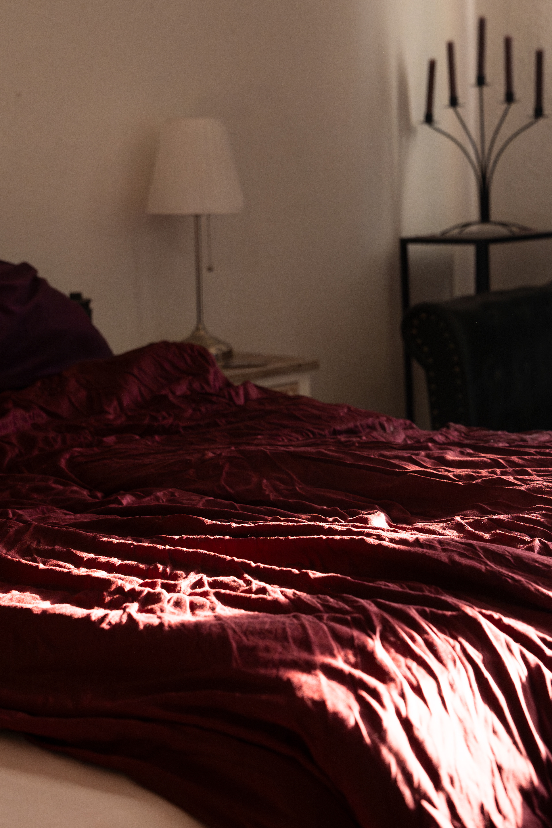 Molly, at home, Berlin