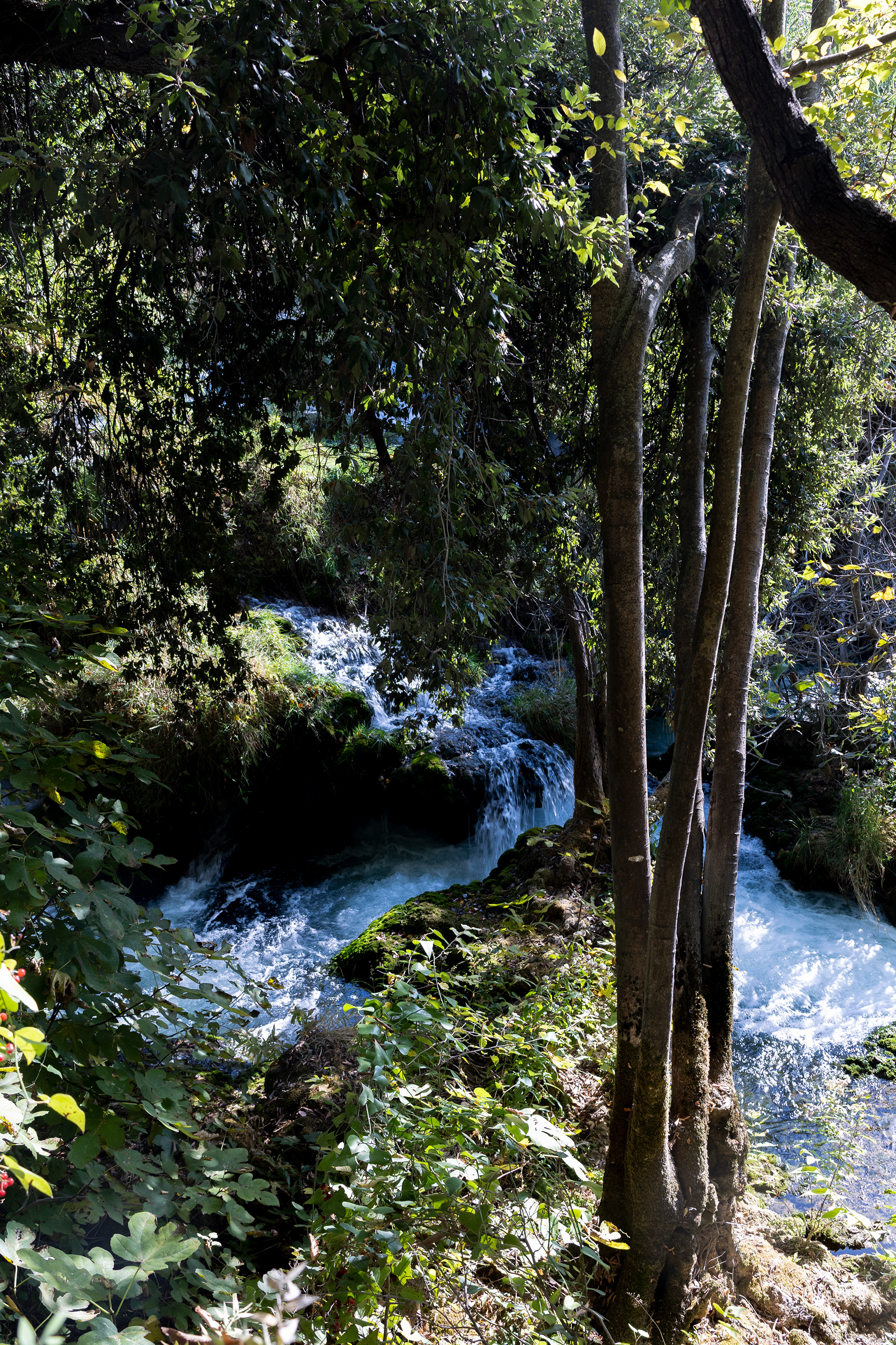 Krka, HR