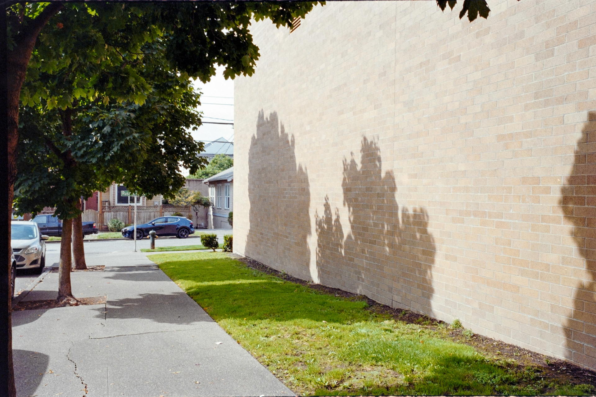 Negative Lab Pro v3.0.2 | Color Model: Basic | Pre-Sat: 3 | Tone Profile: LAB - Standard | WB: Auto-Neutral | LUT: Frontier