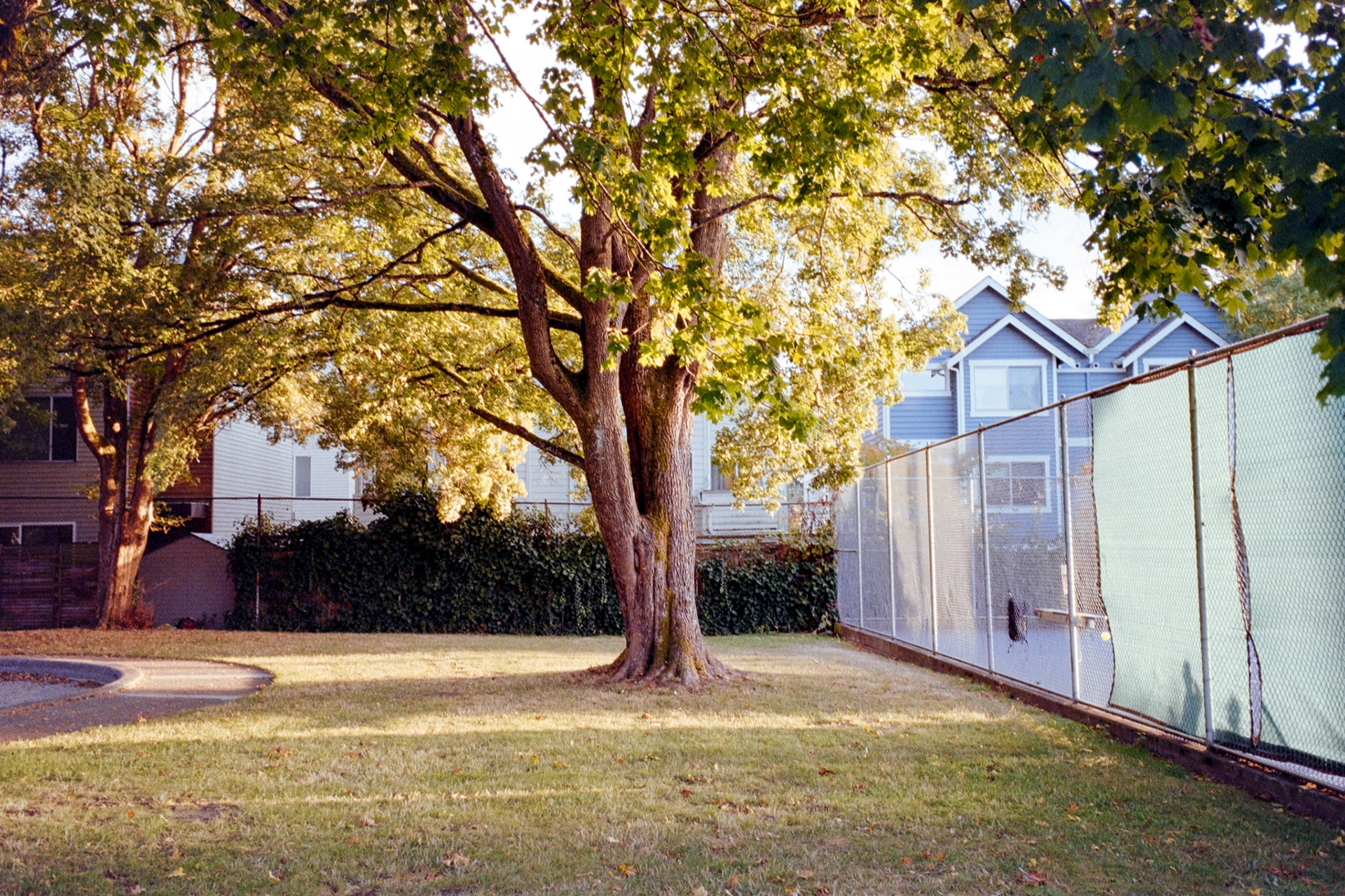 Negative Lab Pro v3.0.2 | Color Model: Basic | Pre-Sat: 3 | Tone Profile: LAB - Standard | WB: Auto-Neutral | LUT: Frontier