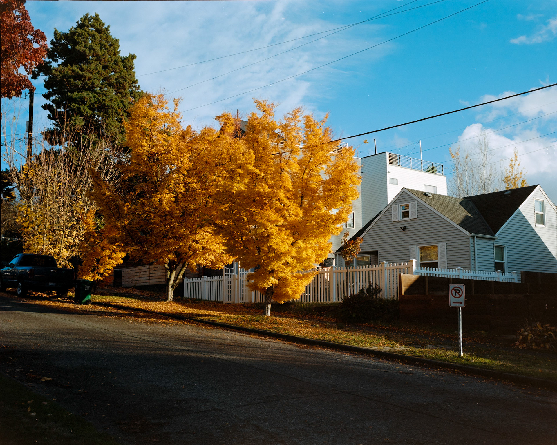 Negative Lab Pro v3.0.2 | Color Model: Basic | Pre-Sat: 3 | Tone Profile: LAB - Standard | WB: Auto-Neutral | LUT: Frontier