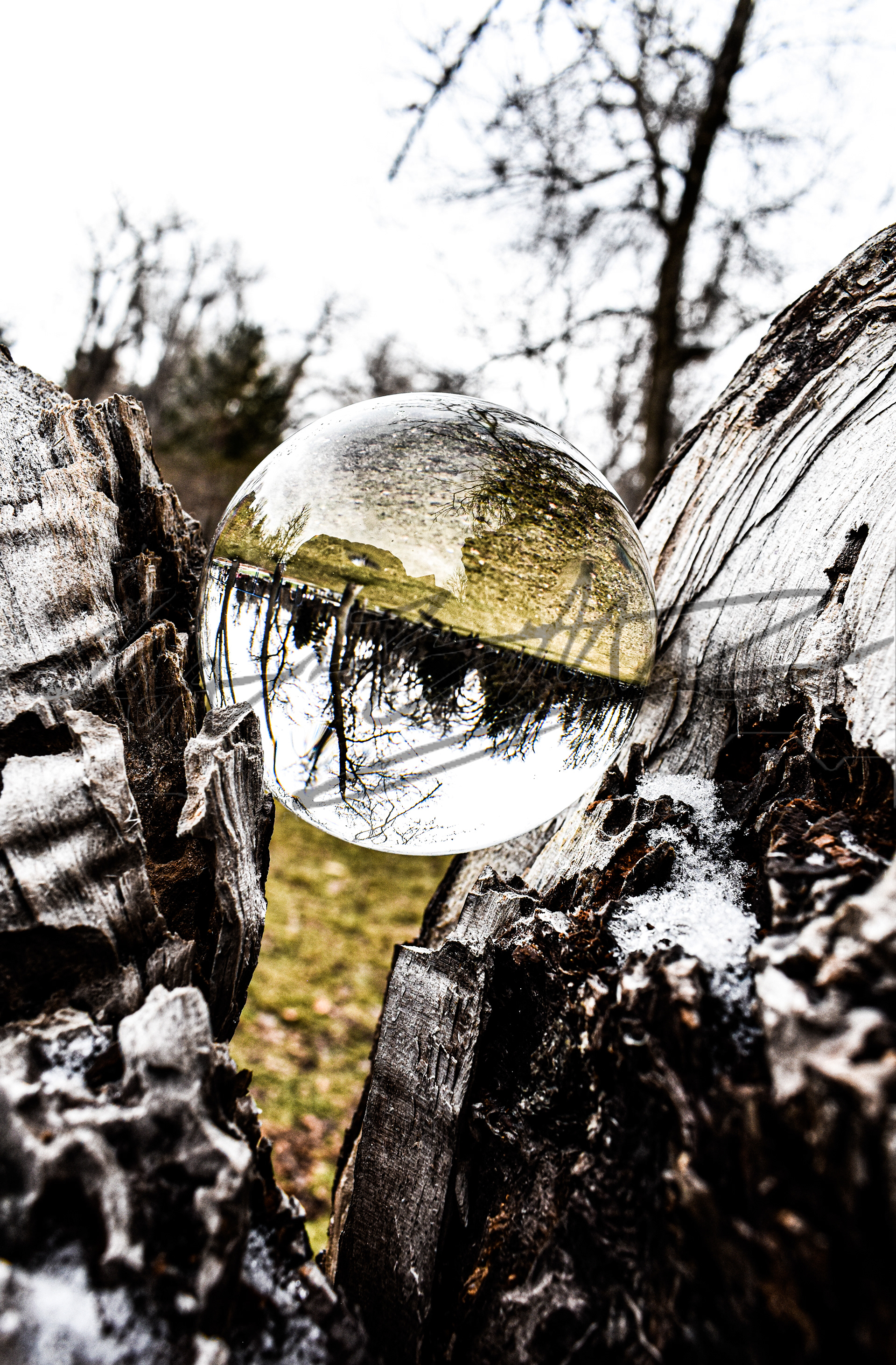 "Tilting Nature"