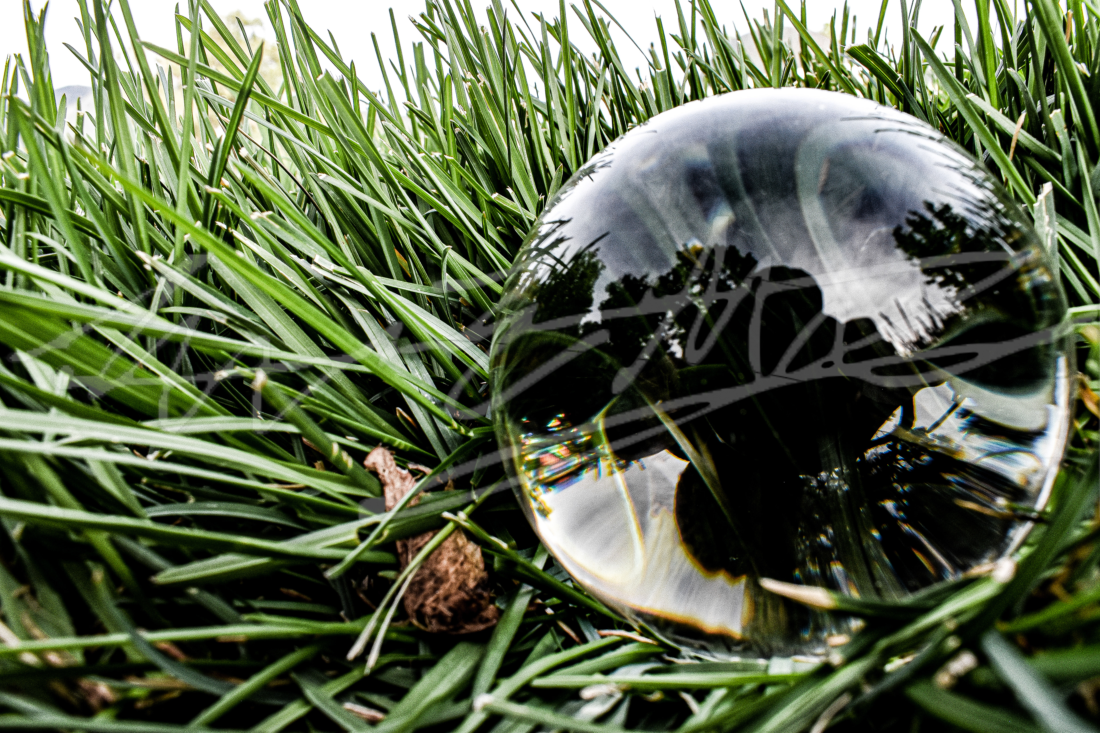 "Glass in Grass"