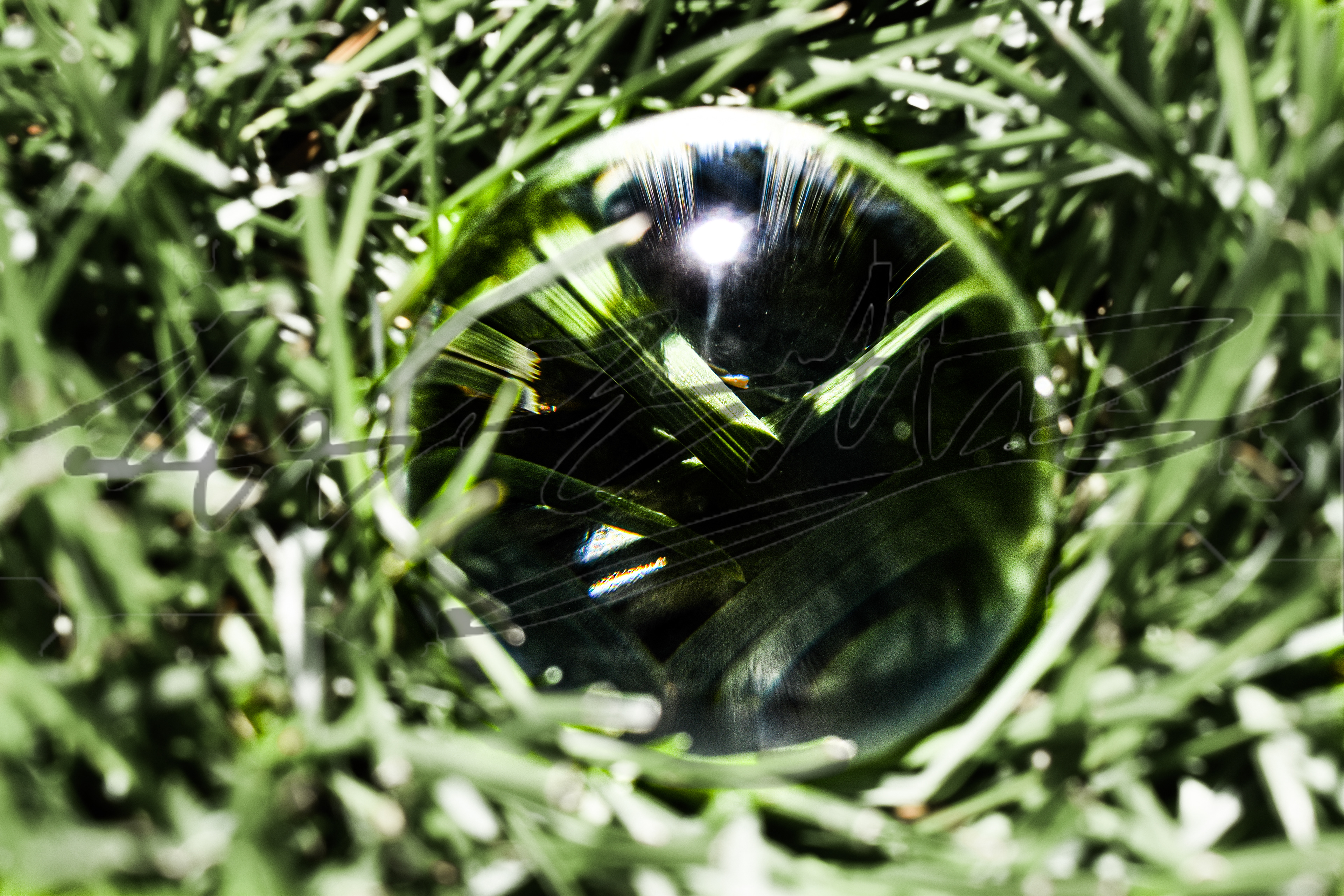 "The Void of Grass in Glass"