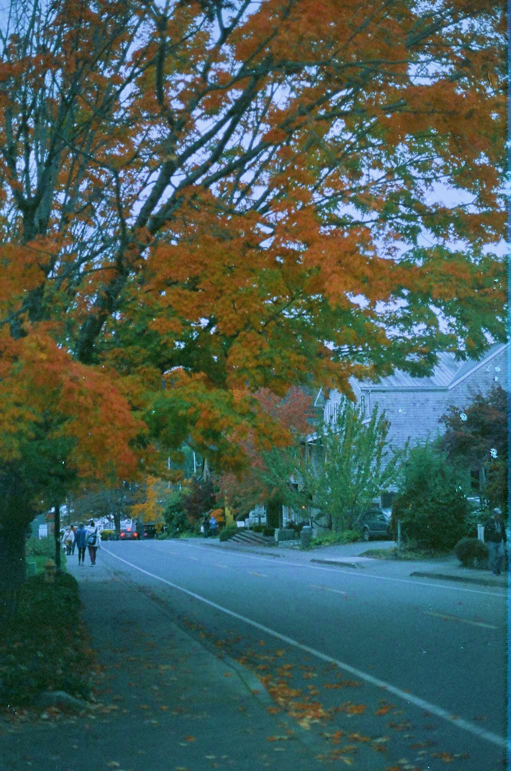 Processed with VSCO with al6 preset