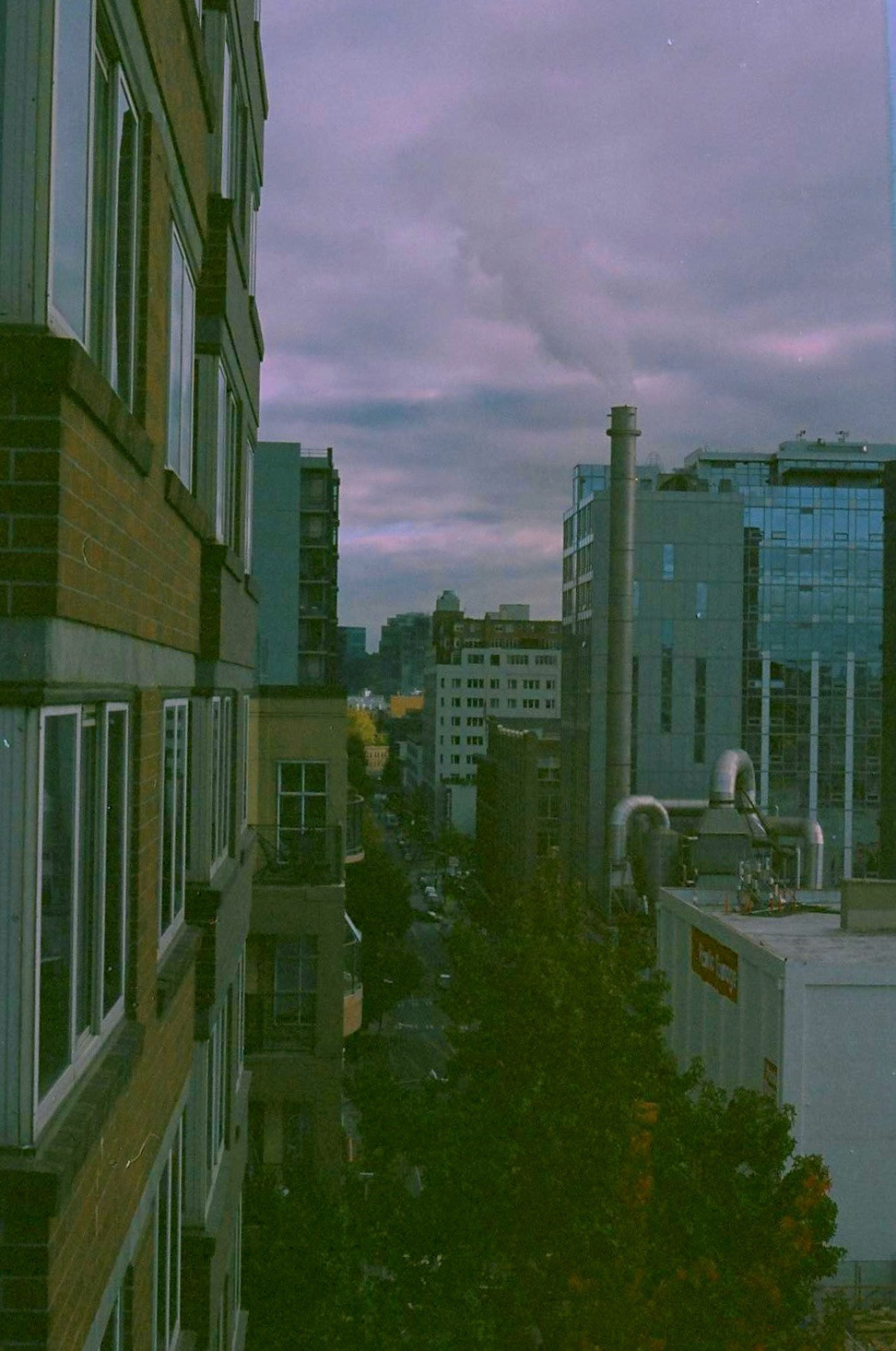 Processed with VSCO with l6 preset