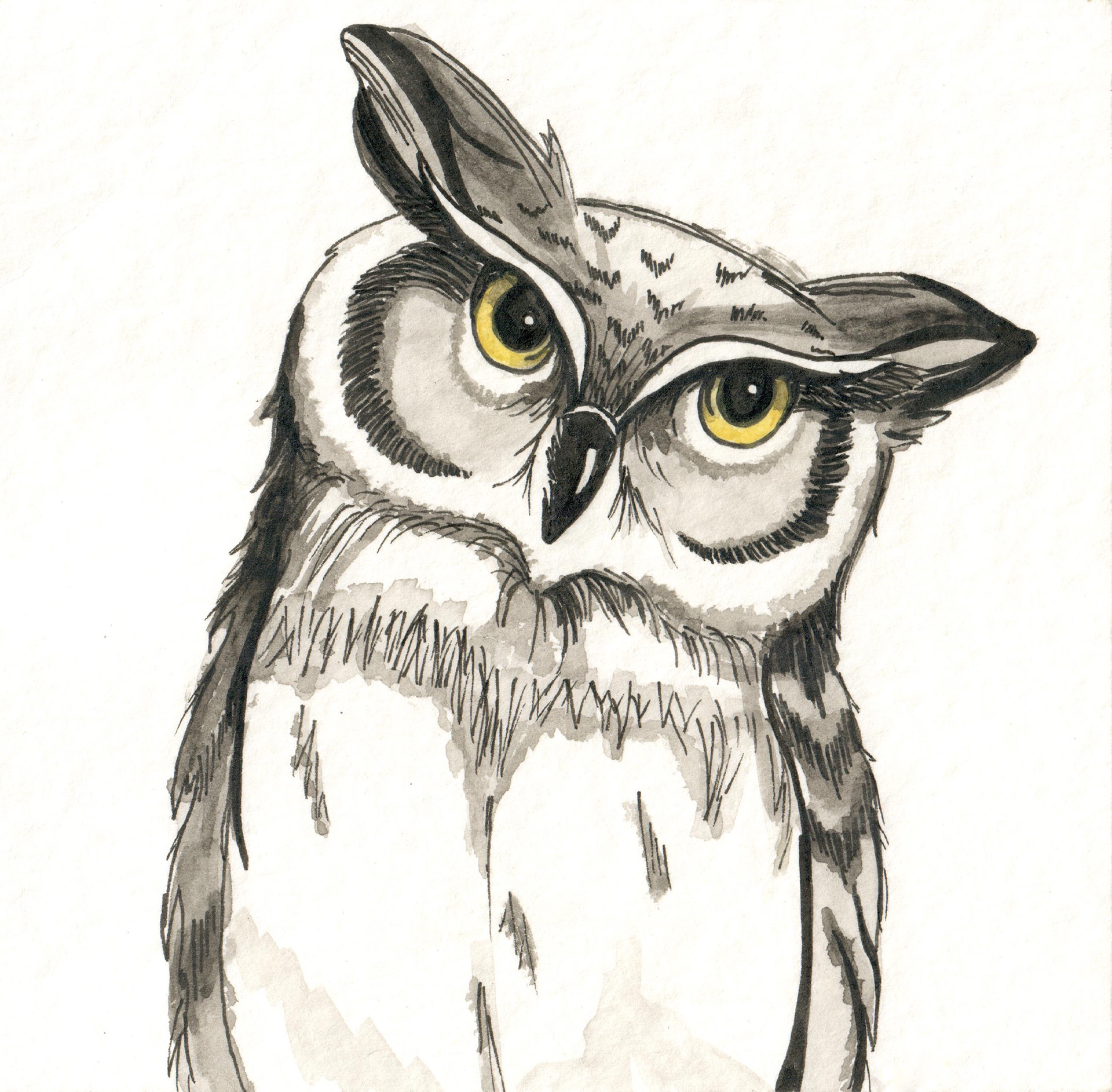 watercolor + ink study