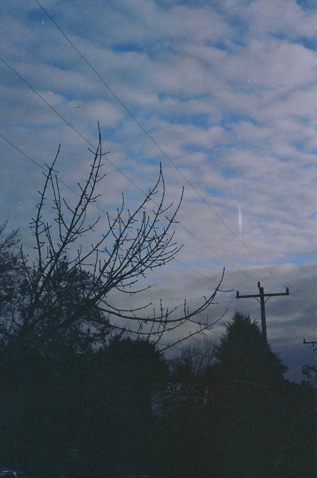 Processed with VSCO with a5 preset