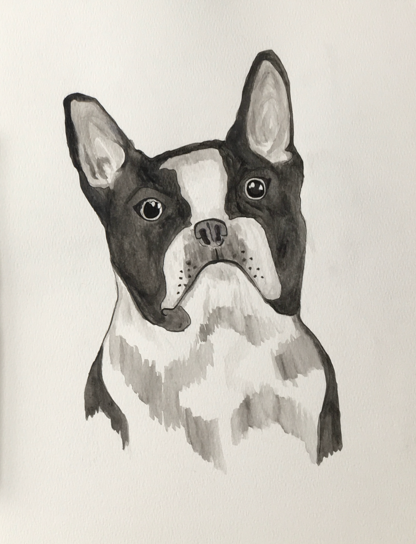 watercolor + ink pet portrait
