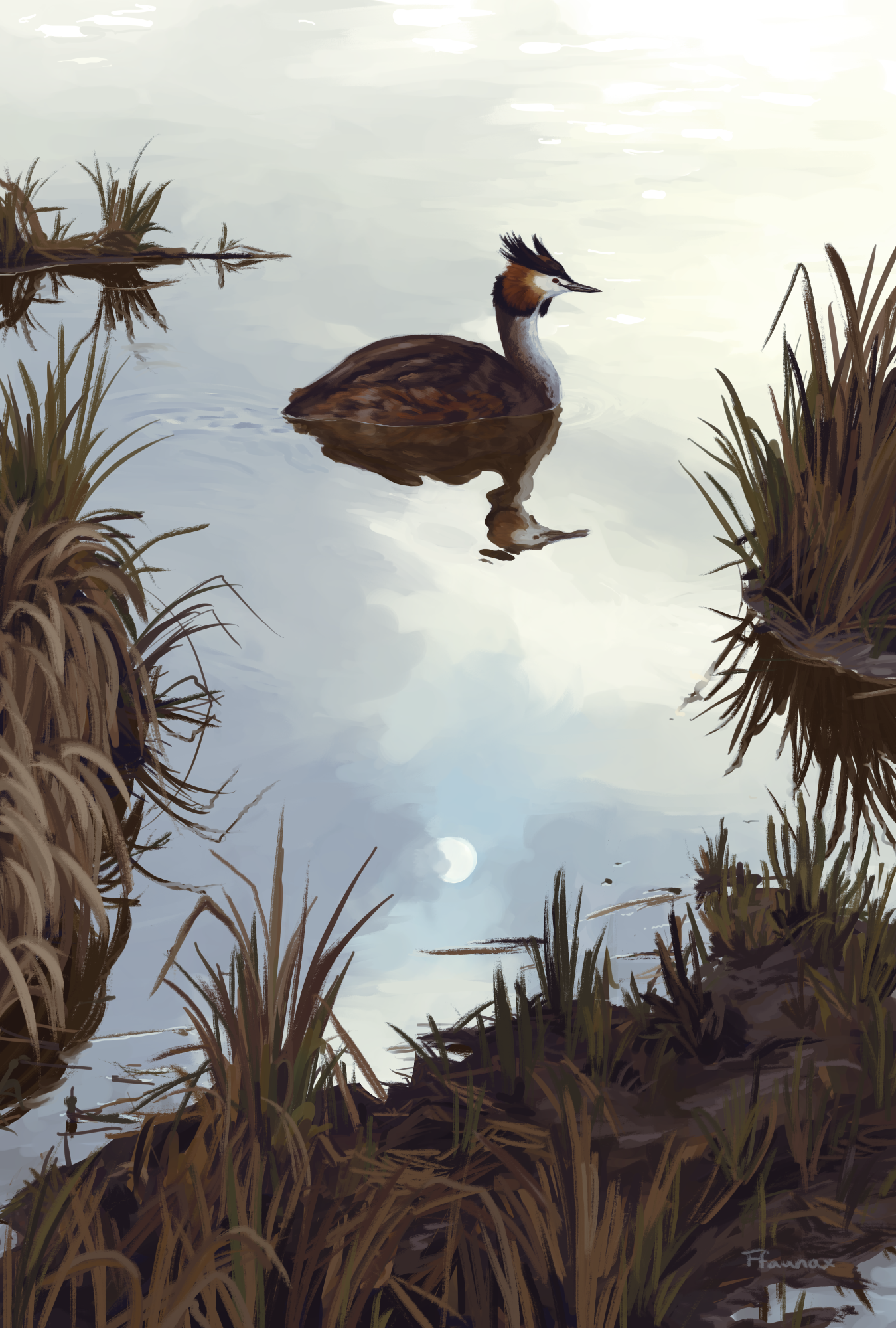 Clip Studio Paint