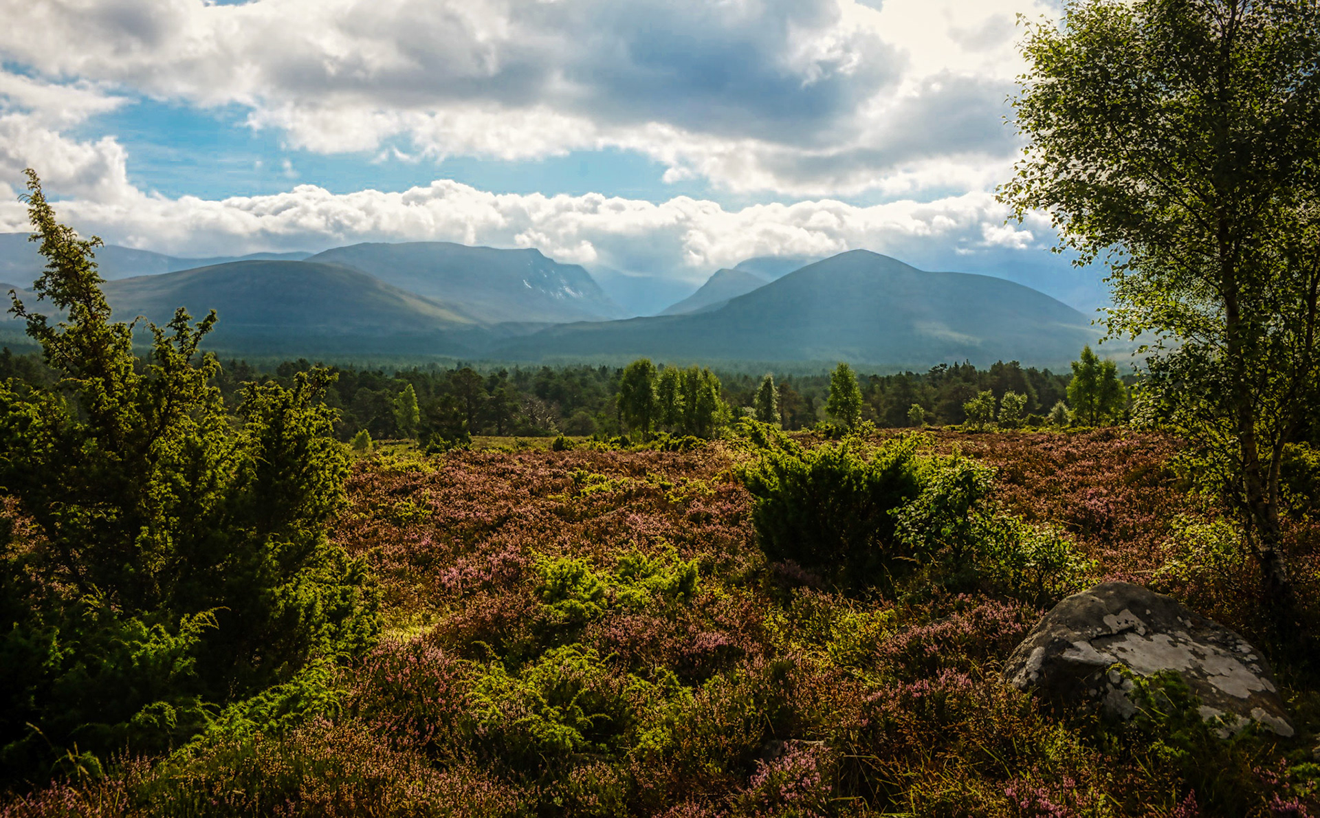 Highland Gathering