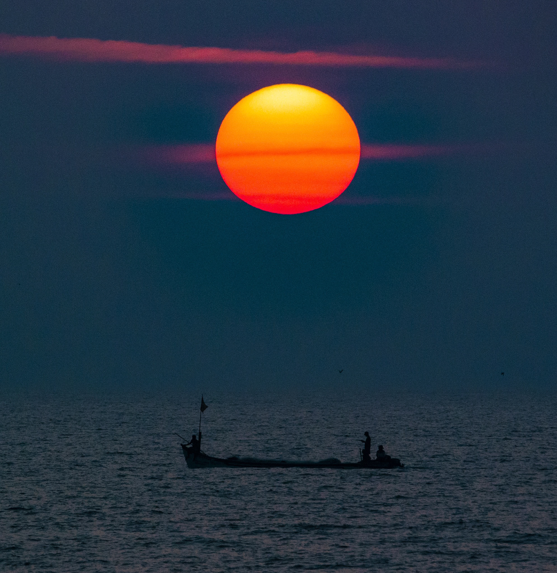 Bringing Home the Catch