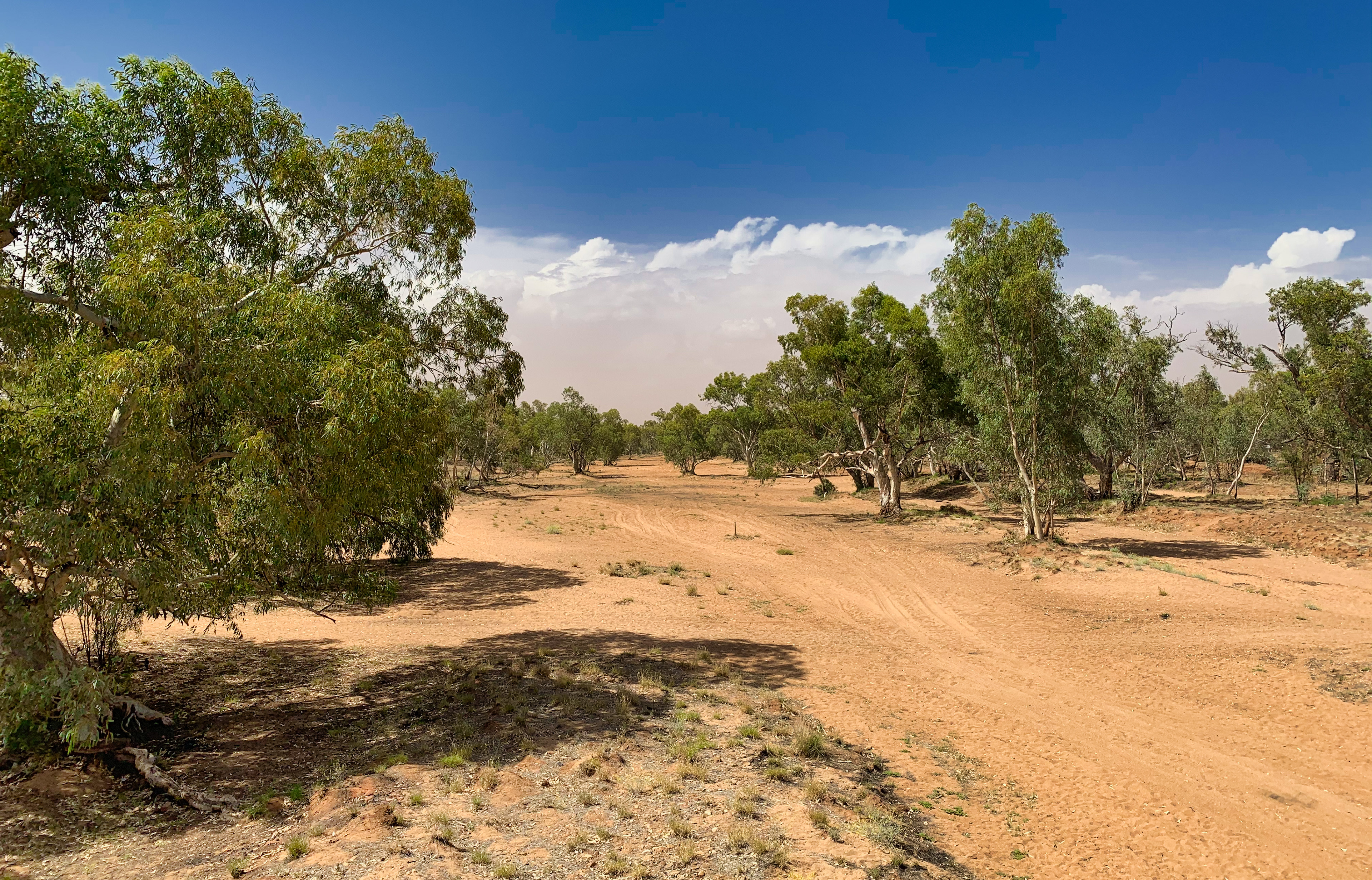 Riverbed