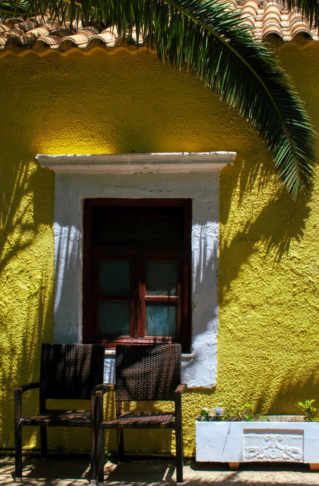 Afternoon Shade