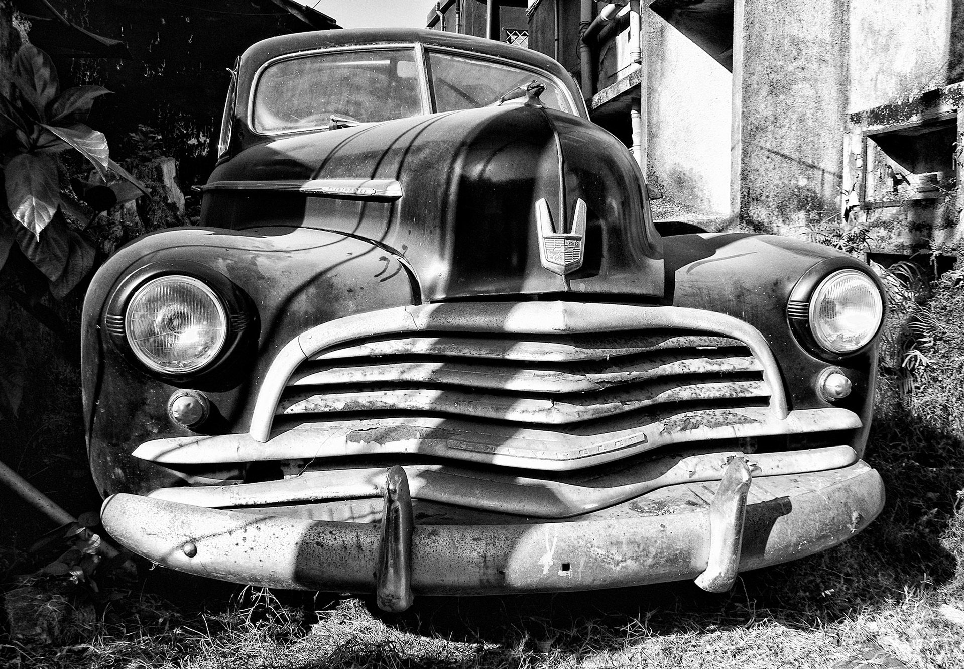 Old Timer