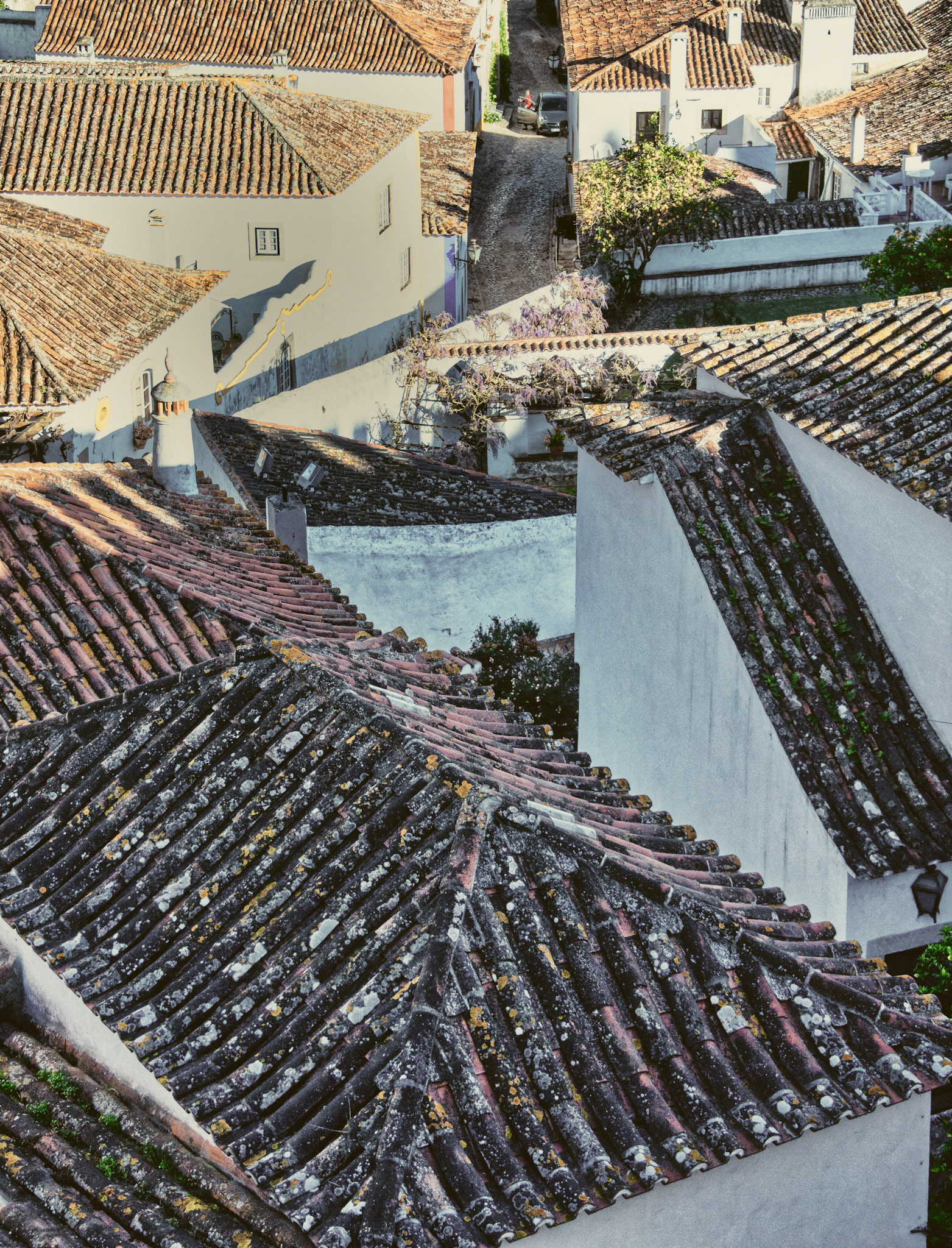 Obidos Roofs