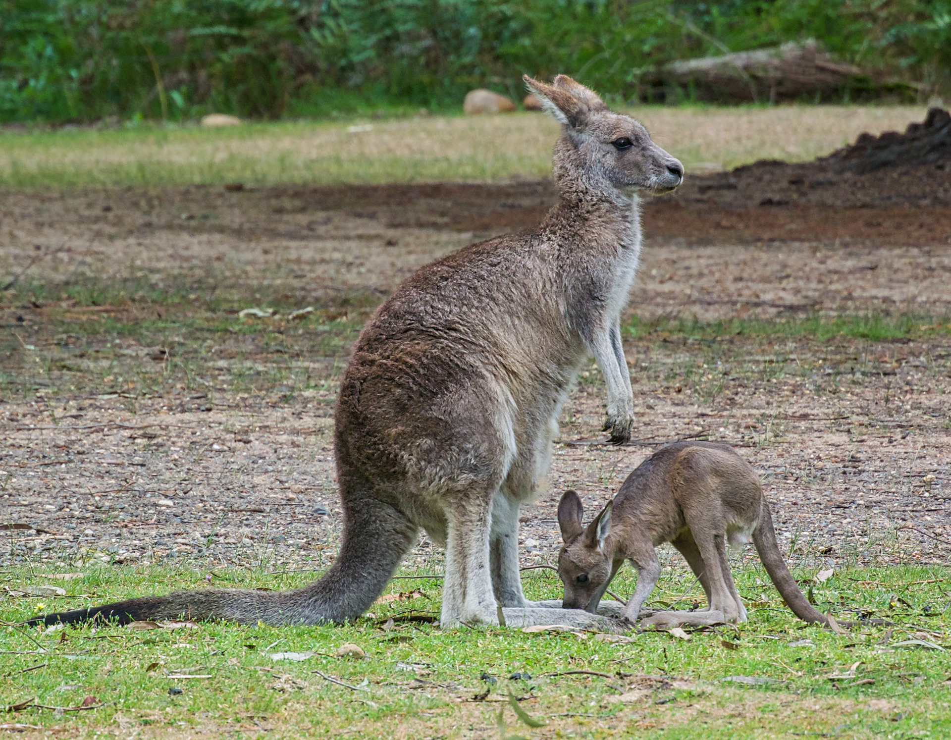 What Big Feet You Have!