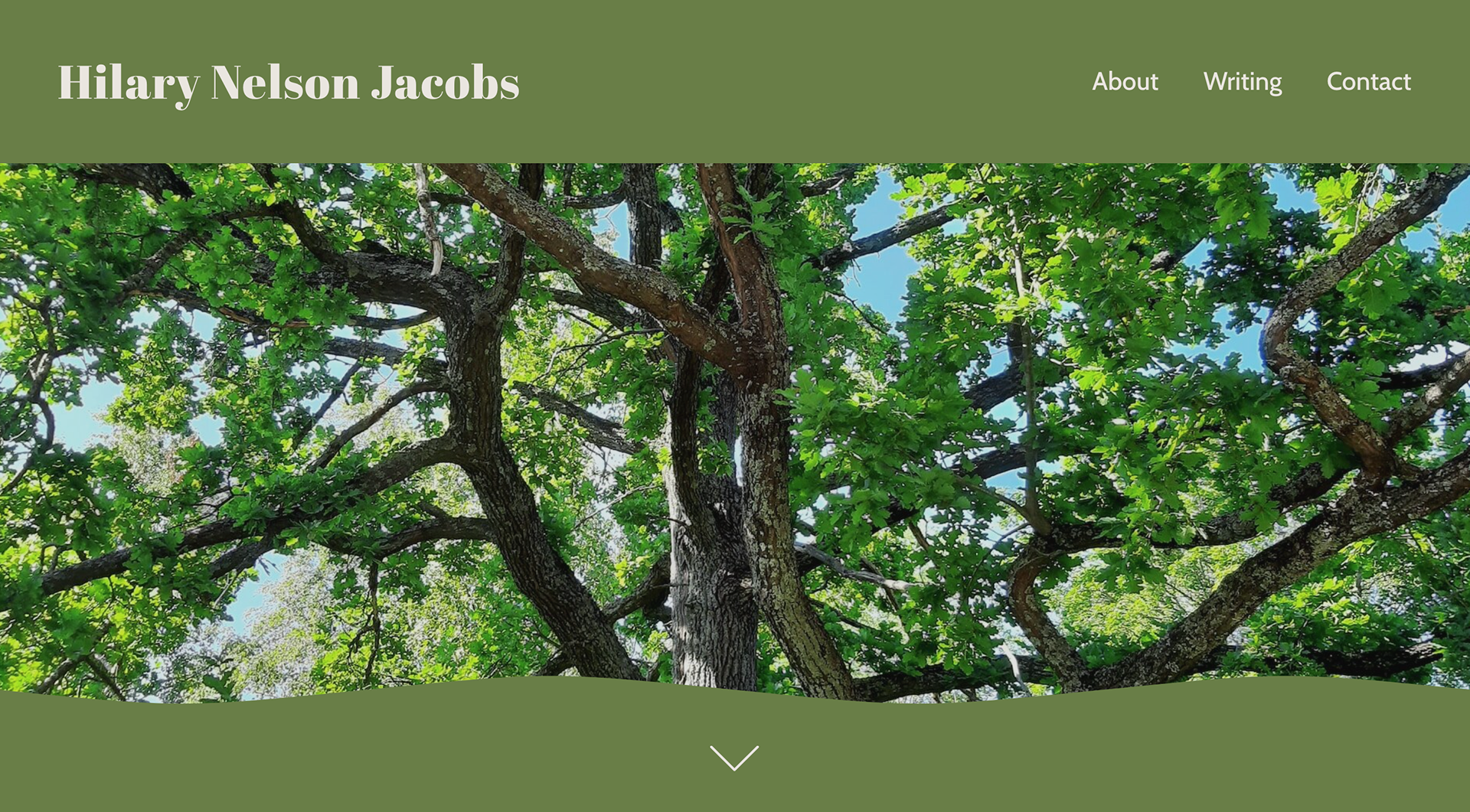 hilarynelsonjacobs.com