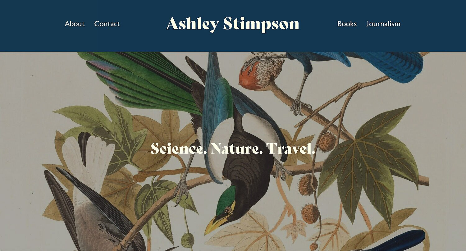 ashleystimpson.com