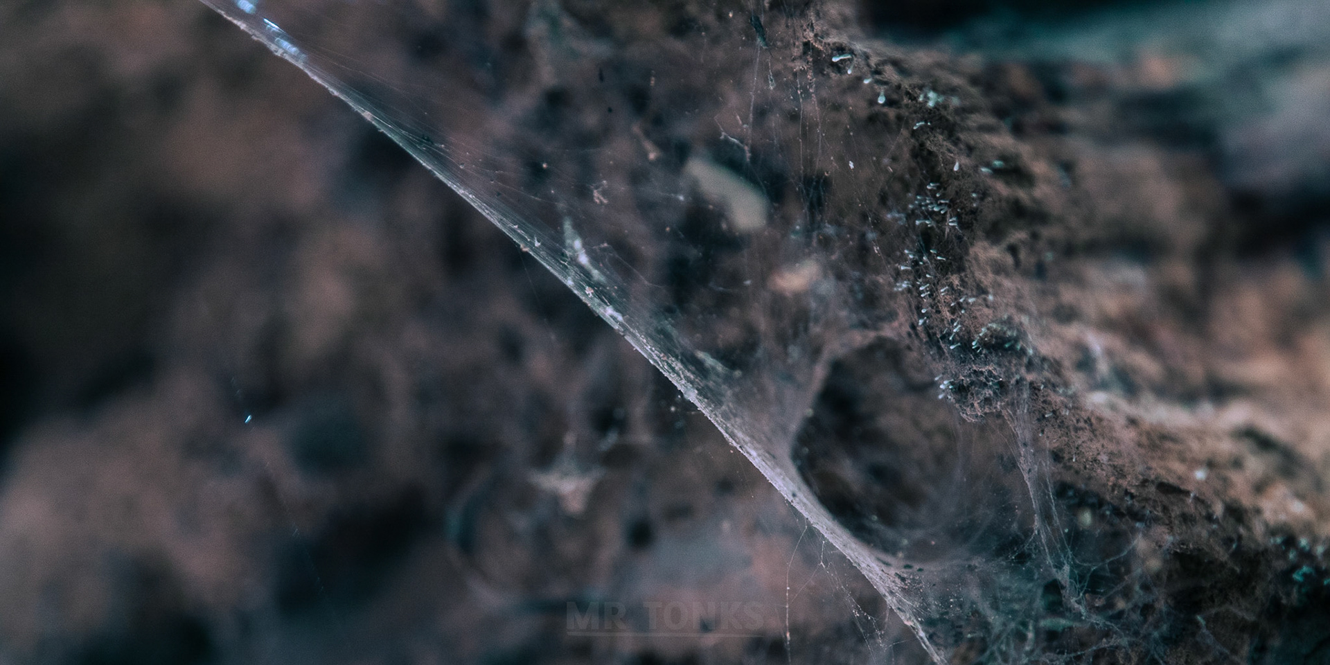 Nebula 9420