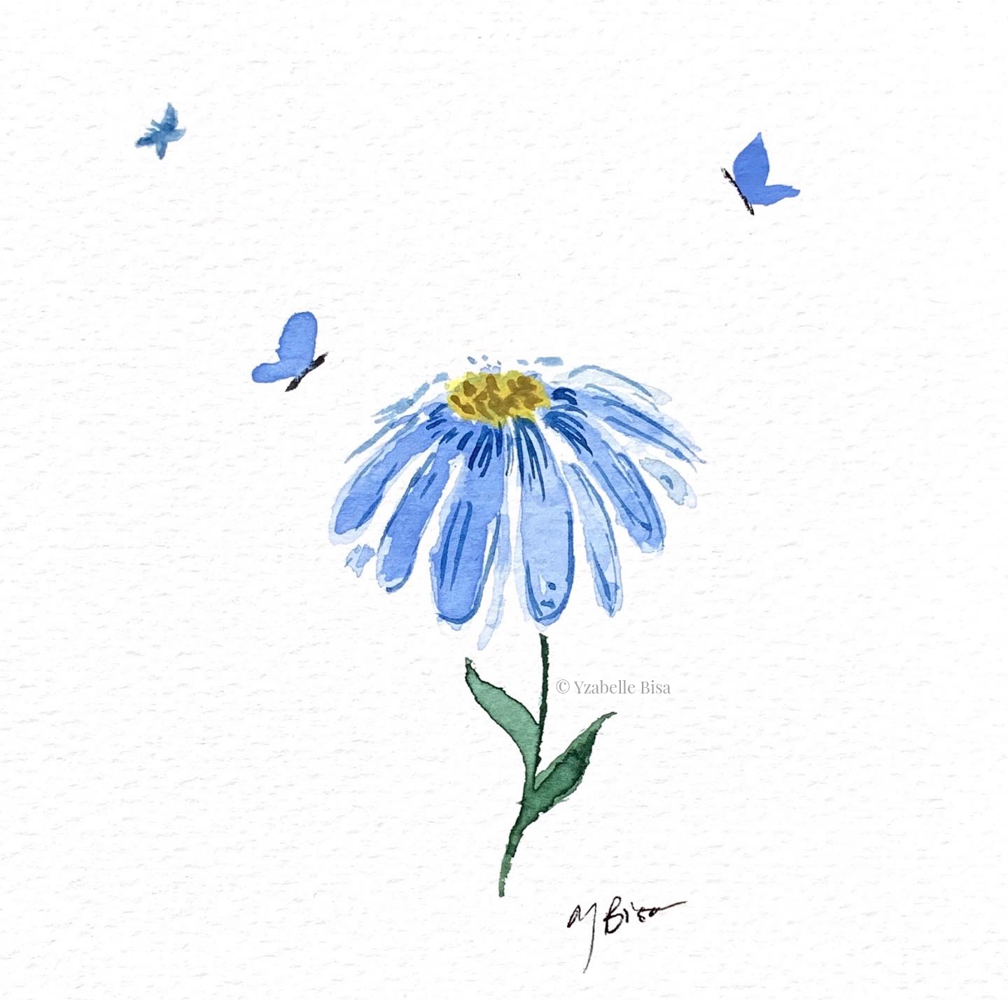 Daisies and butterflies. Watercolour on medium-weight watercolour paper.