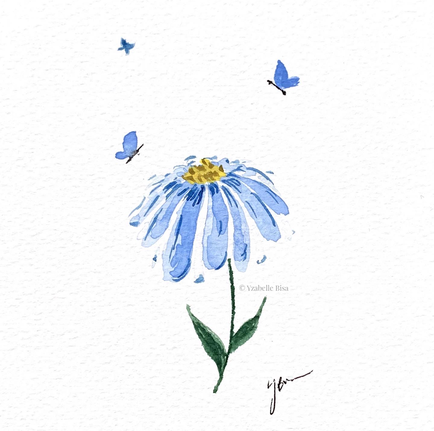 Daisies and butterflies. Watercolour on medium-weight watercolour paper.