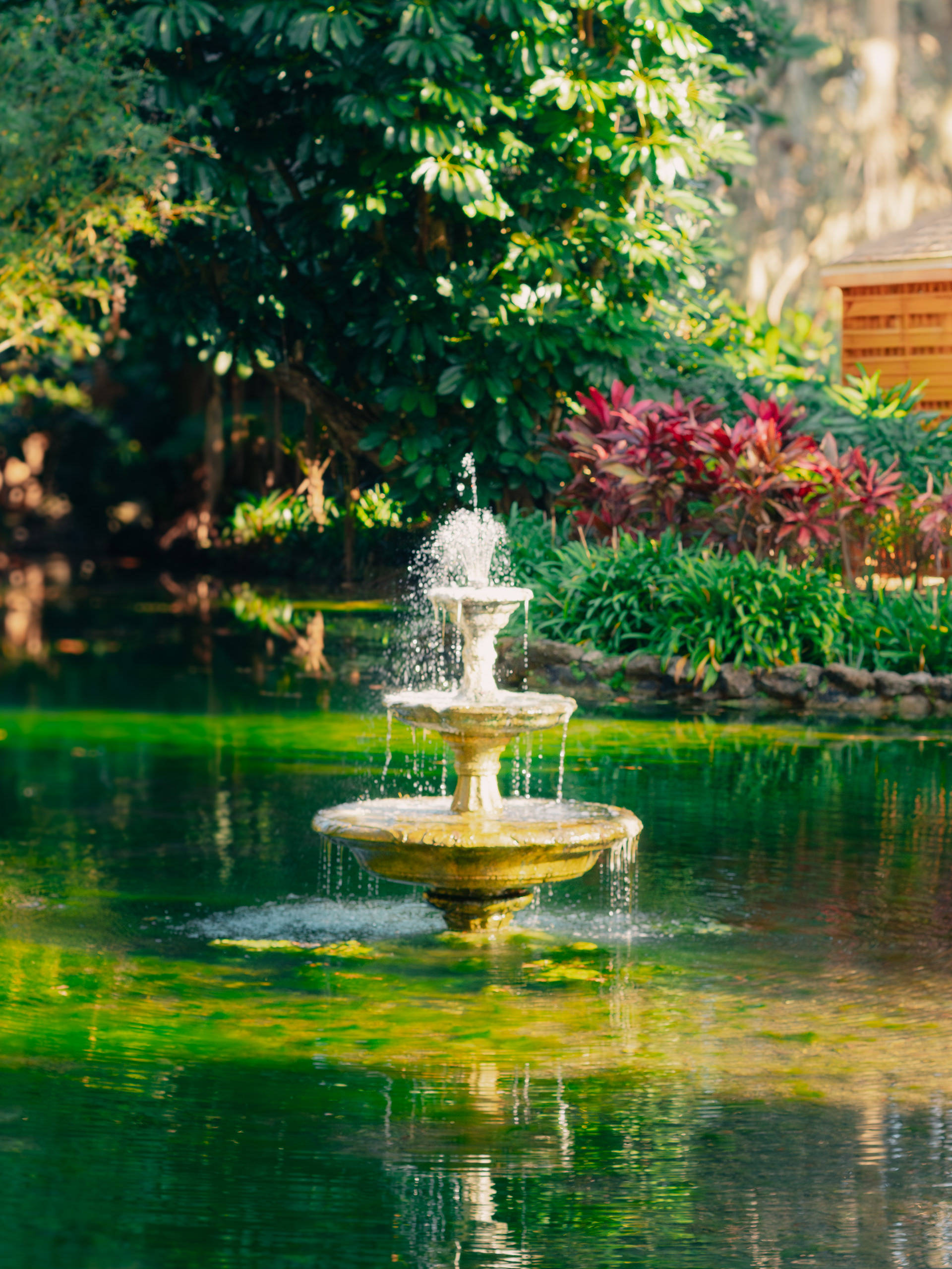 Washington Oaks State Park