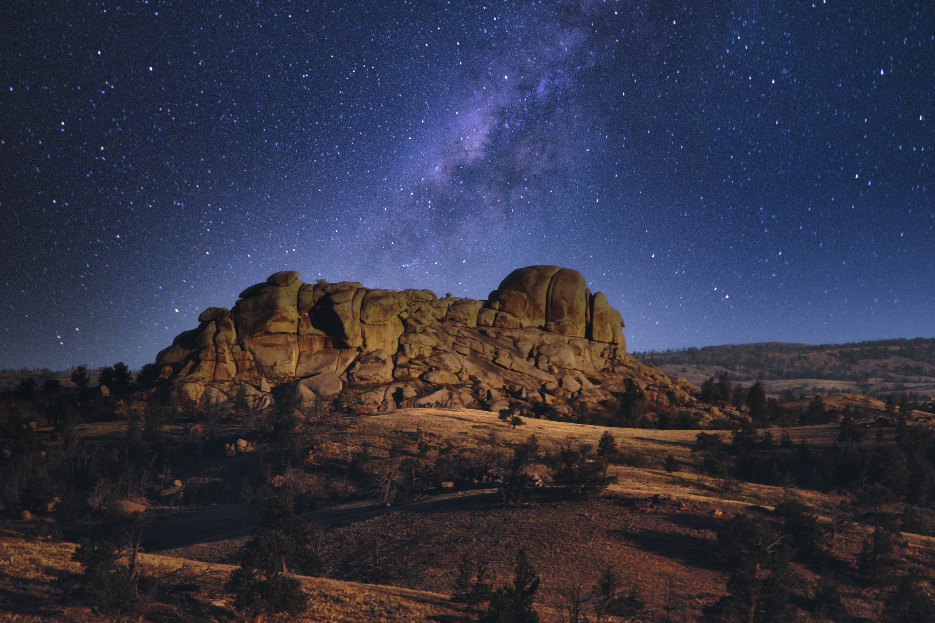 Turtle Rock