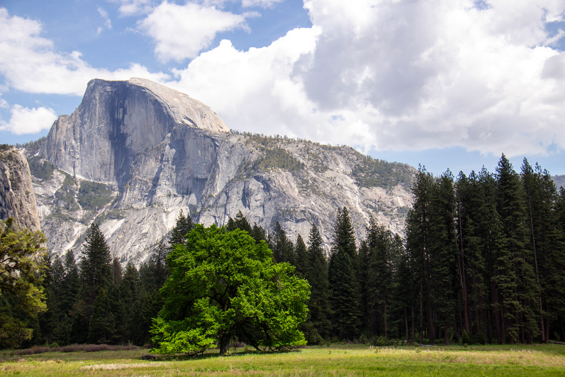 Half Dome Valley View