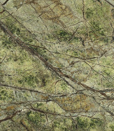 RAIN FOREST GREEN