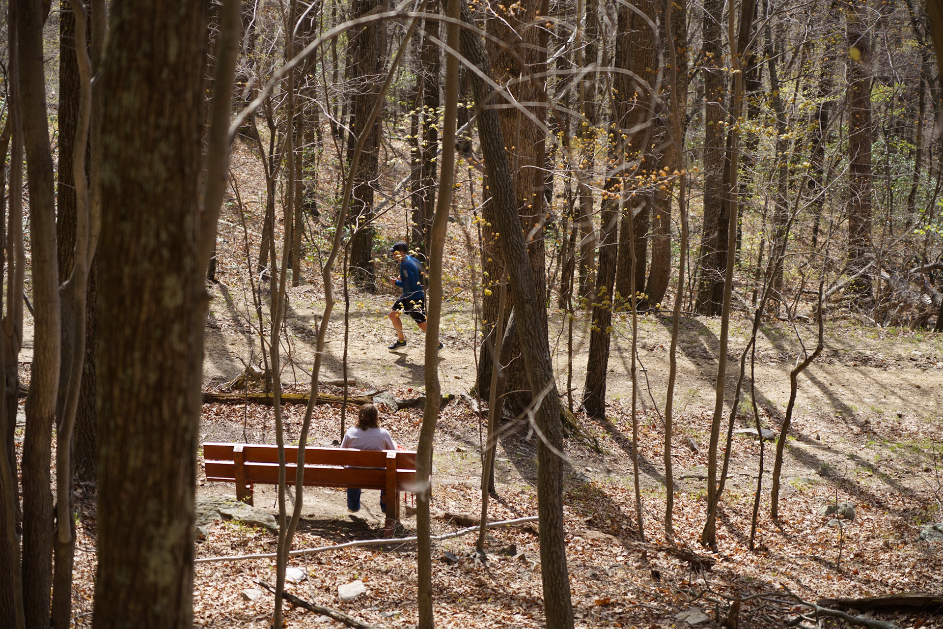 Title: , Make: Sony, Model: ILCE-7RM4, Lens: FE 24-105mm F4 G OSS, Focal Length: 105 mm, Shutter: 1/500 sec, ISO: ISO 160, Flash: Did not fire, Post: ILCE-7RM4 v1.20, Orig. Dimensions: 9504 x 6336, Cropped To: 9504 x 6336