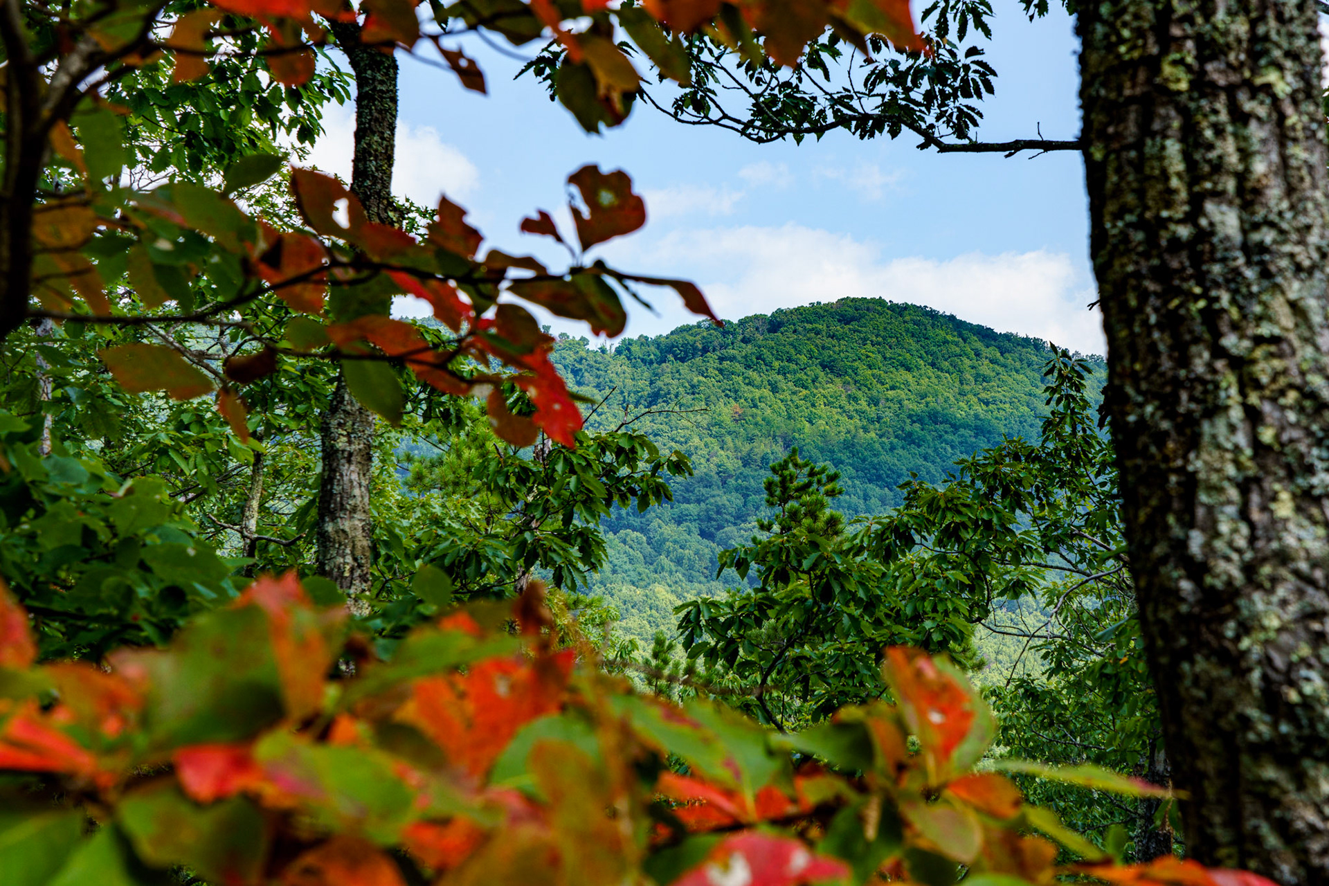 Title: , Make: Sony, Model: ILCE-7RM4, Lens: FE 24-105mm F4 G OSS, Focal Length: 44 mm, Shutter: 1/125 sec, ISO: ISO 200, Flash: Did not fire, Post: ILCE-7RM4 v1.20, Orig. Dimensions: 9504 x 6336, Cropped To: 7440 x 4960