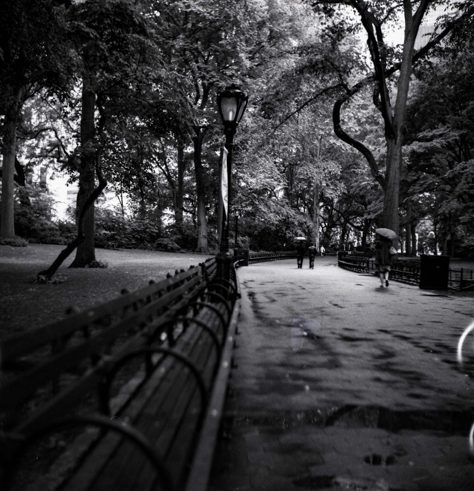 Medium format Yashica C. Scanned from film via epson flatbed.