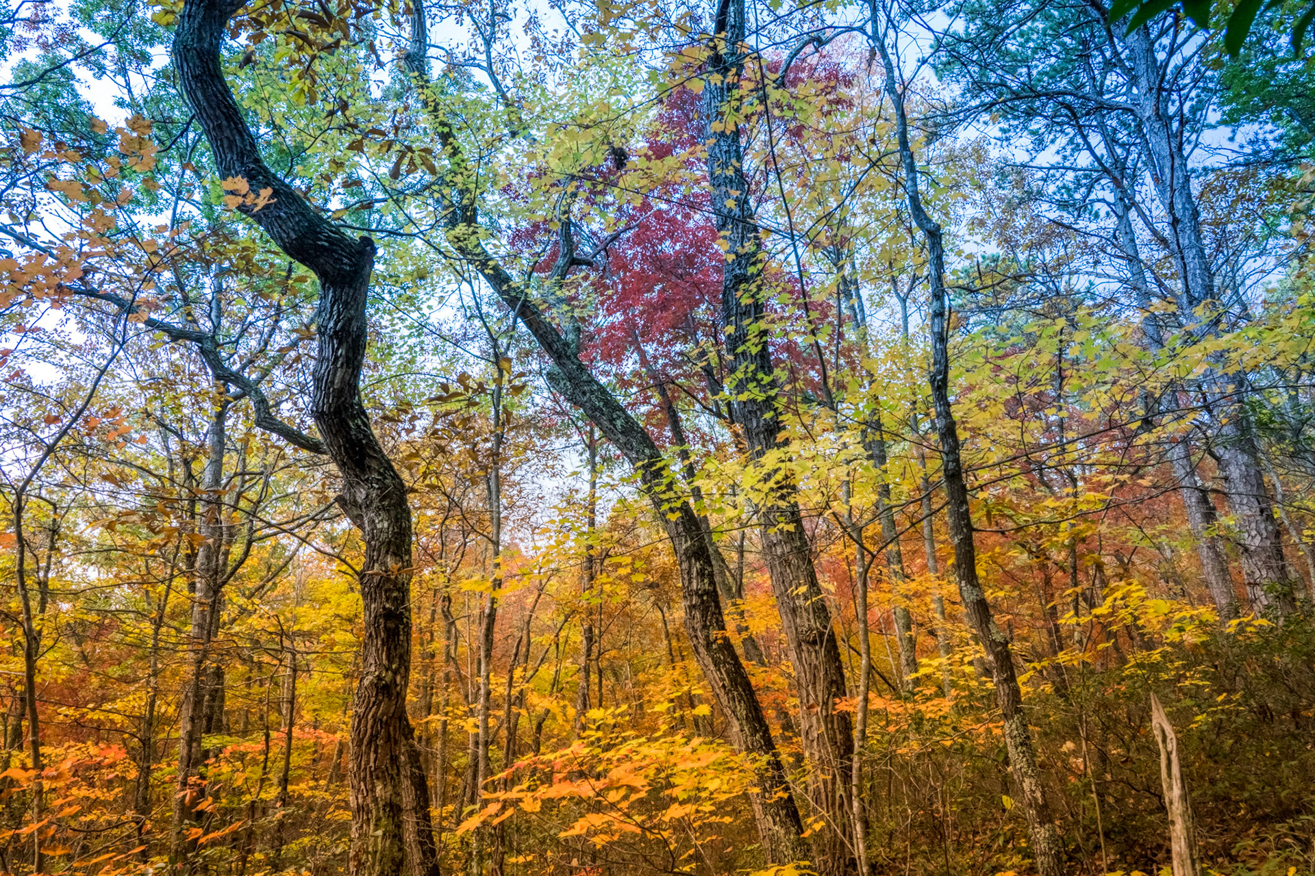 Title: , Make: Sony, Model: ILCE-7RM4, Lens: FE 24-105mm F4 G OSS, Focal Length: 24 mm, Shutter: 1/400 sec, ISO: ISO 3200, Flash: Did not fire, Post: ILCE-7RM4 v1.20, Orig. Dimensions: 9504 x 6336, Cropped To: 9504 x 6336