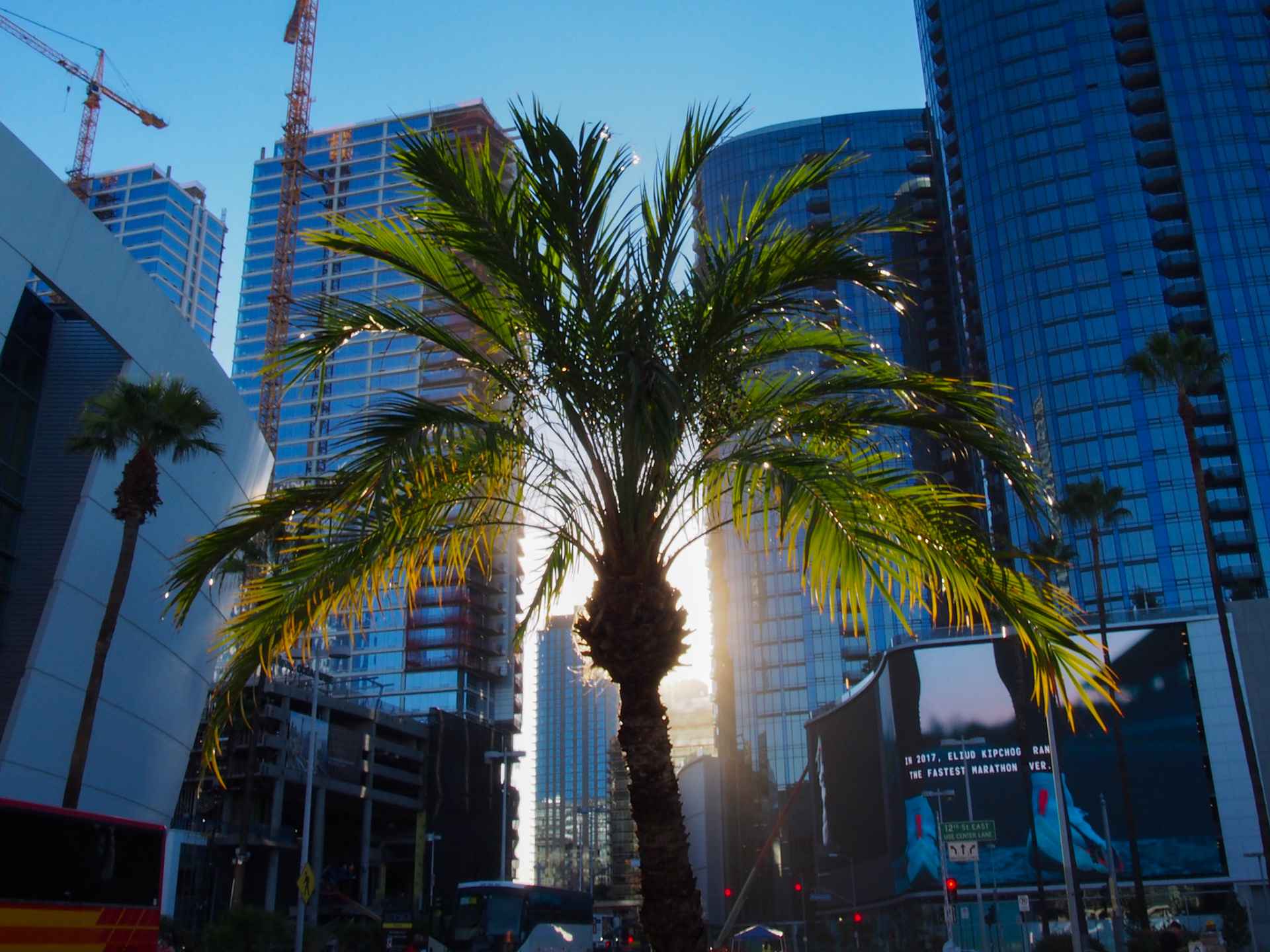 Title: , Make: Olympus, Model: E-PL6, Lens: OLYMPUS M.14-42mm F3.5-5.6 II R, Focal Length: 14 mm, Shutter: 1/50 sec, ISO: ISO 320, Flash: Did not fire, Post: Version 1.1, Orig. Dimensions: 4608 x 3456, Cropped To: 3524 x 2643