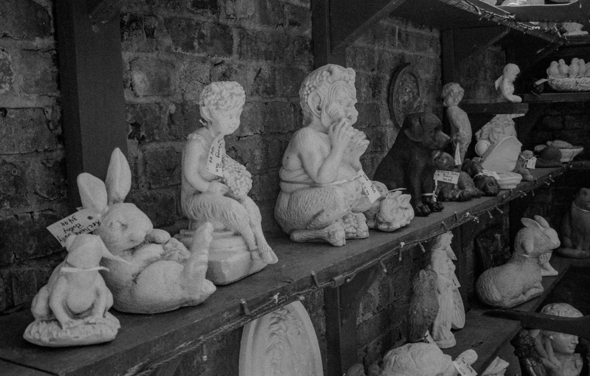 Ilford HP5, epson scanned, Lighroom adjusted.