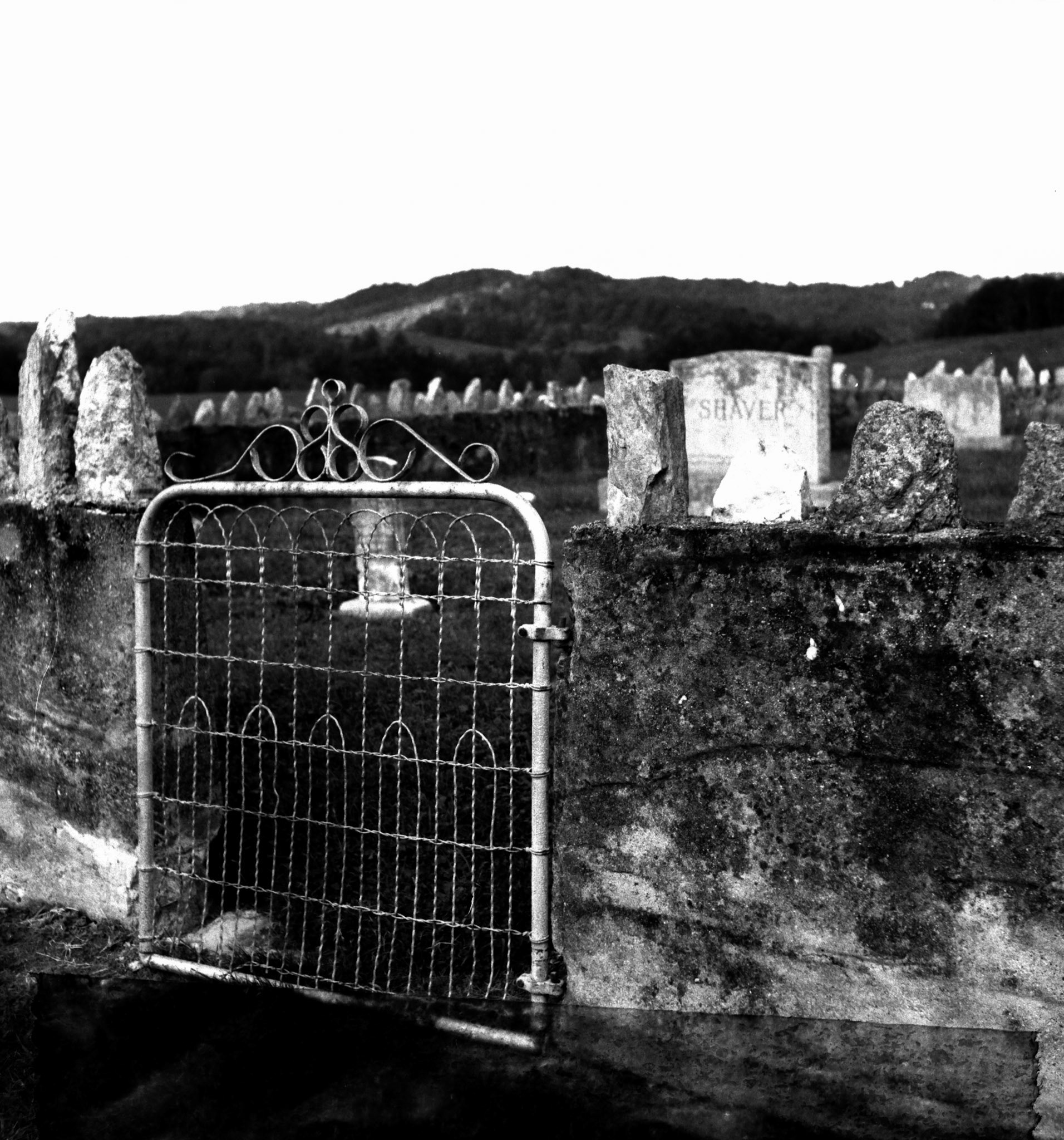 Medium format Yashica C. Scanned from film via epson flatbed. Film was likely Kodak Tri-X 100.