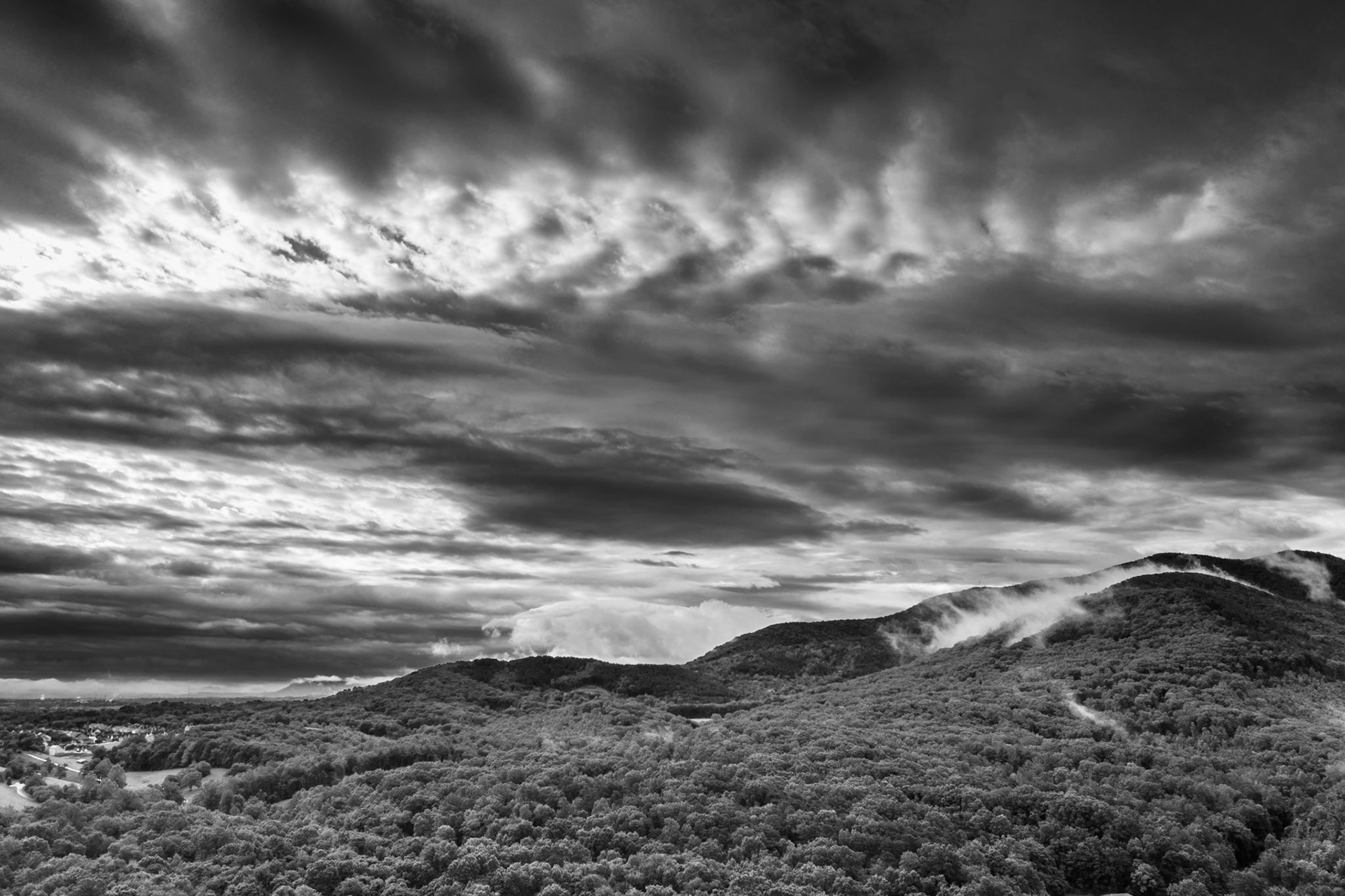 Title: , Make: Hasselblad, Model: L1D-20c, Lens: 28.0 mm f/2.8, Focal Length: 10.26 mm, Shutter: 1/200 sec, ISO: ISO 200, Flash: Did not fire, Post: Adobe Photoshop Lightroom Classic 8.3 (Windows), Orig. Dimensions: 5464 x 3640, Cropped To: 5449 x 3630